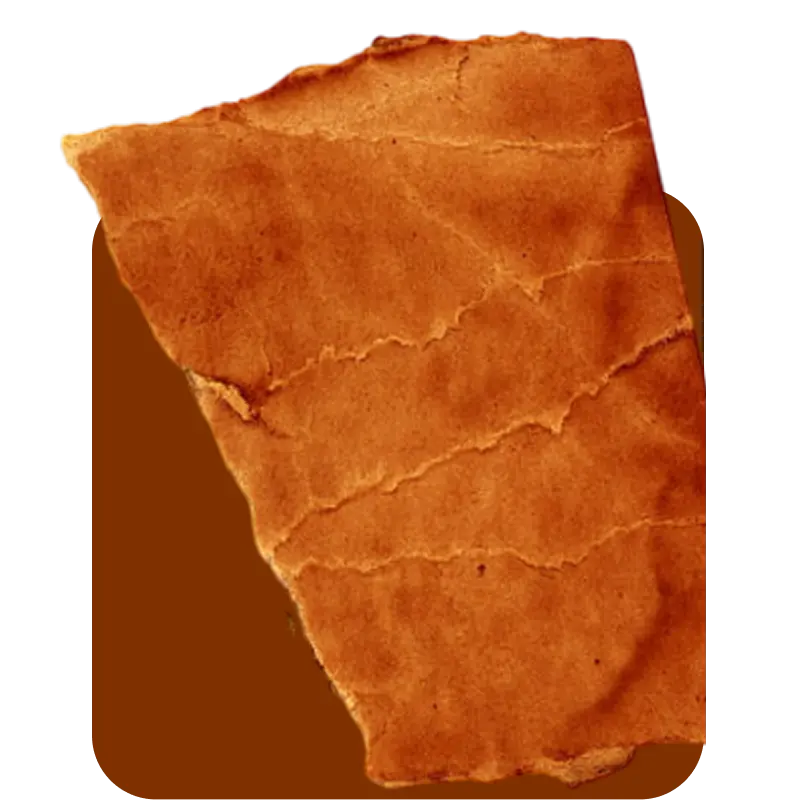 Coral Perfume Shop By Notes: Leather