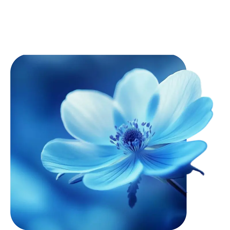 Shop By Notes : Floral | Coral perfume