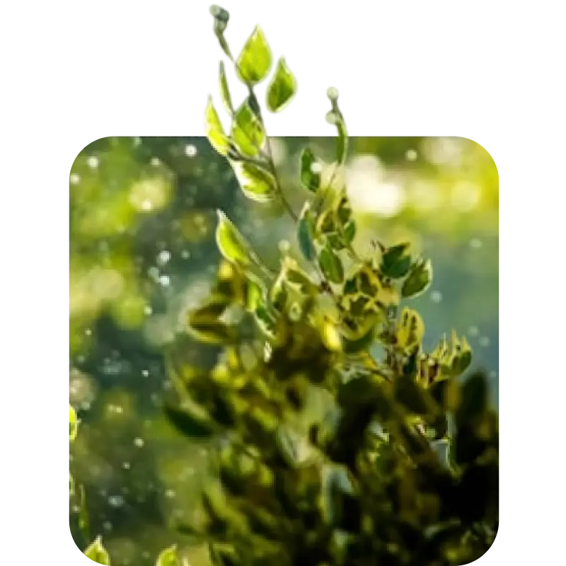 Fresh | Shop By Notes