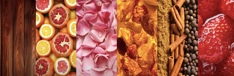 Mens Fragrance family Menu