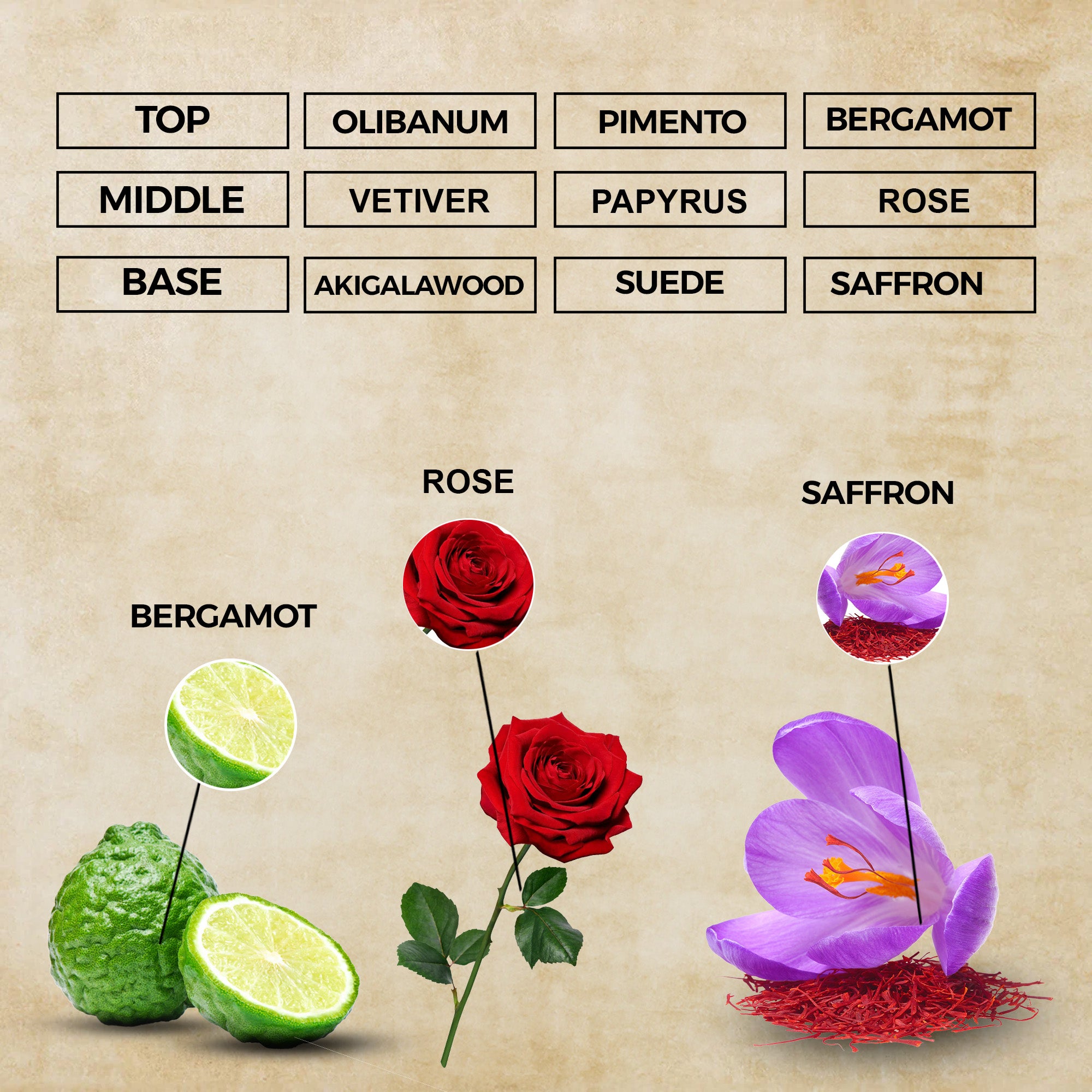 Primal Intent Eau de Parfum | Inspired By Purpose For Men and Women