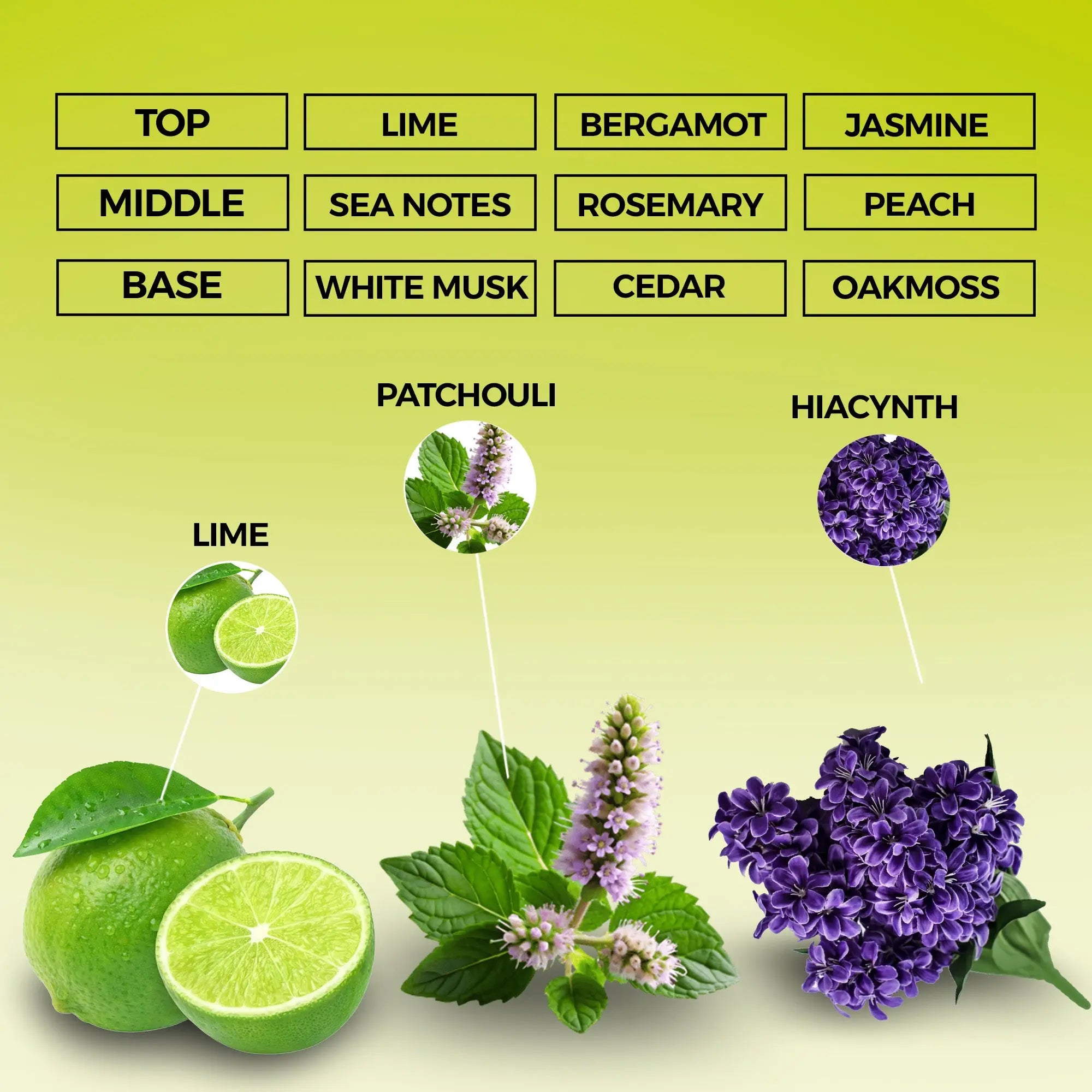 Gio Wave Eau de Parfum | Inspired By Acqua Di Gio Parfum For Men