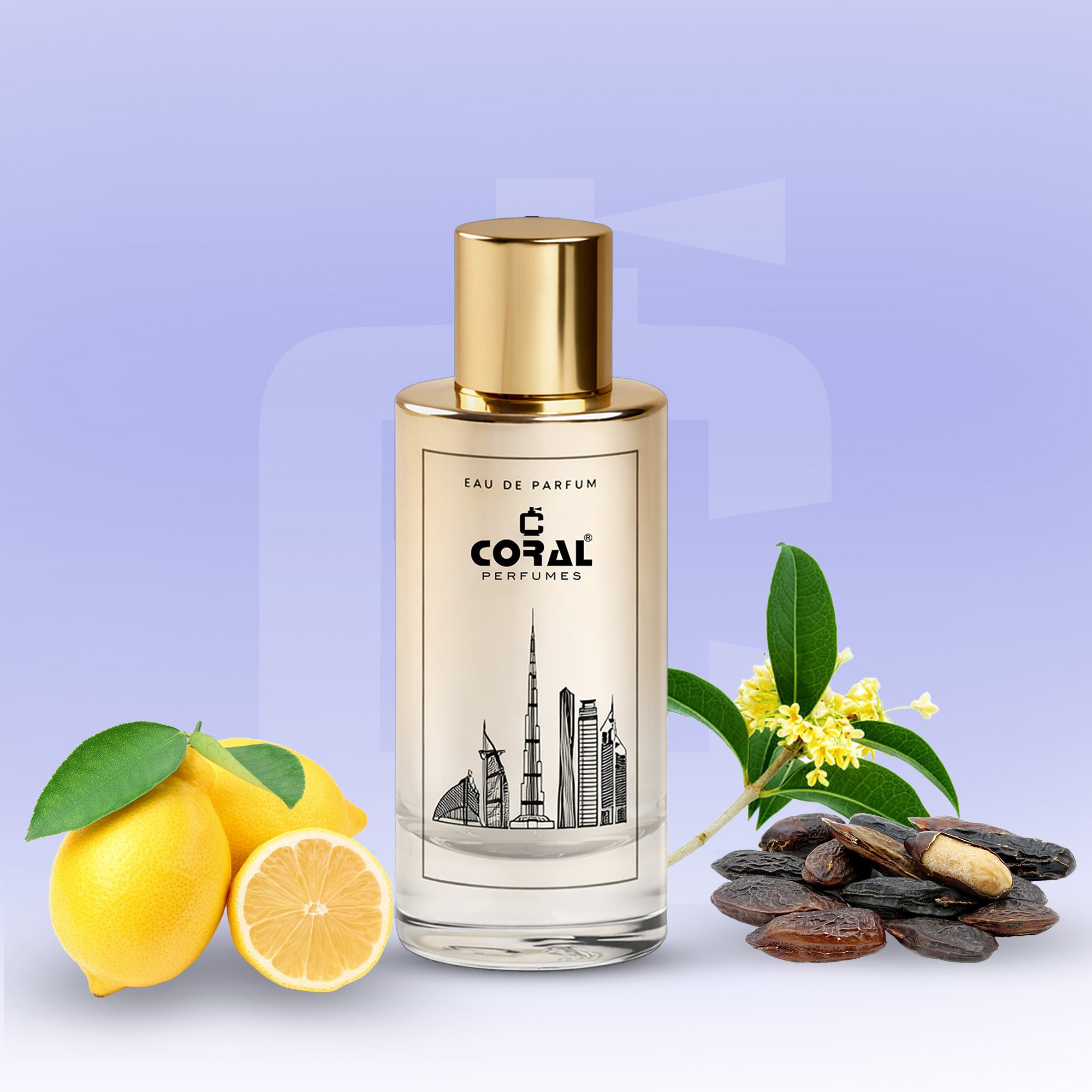 Midnight Cipher Eau de Parfum | Inspired By Code For Men