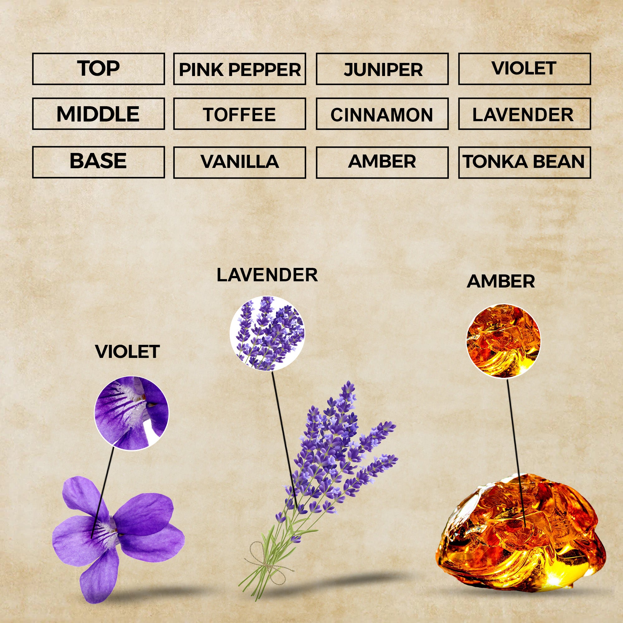 Eternal Bond Intense Eau de Parfum | Inspired By Stronger With You Intensely For Men