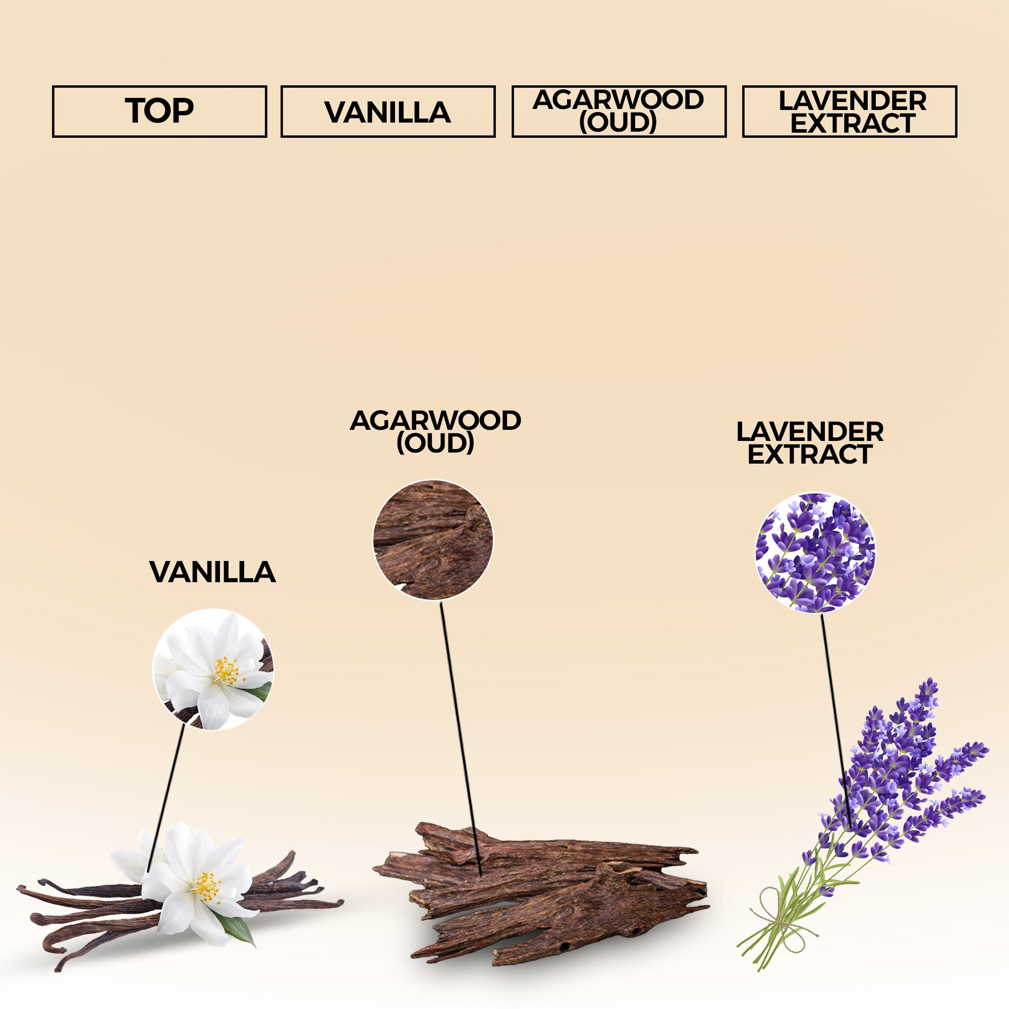 Bonded Oud Eau de Parfum | Inspired By Stronger With You Oud For Men