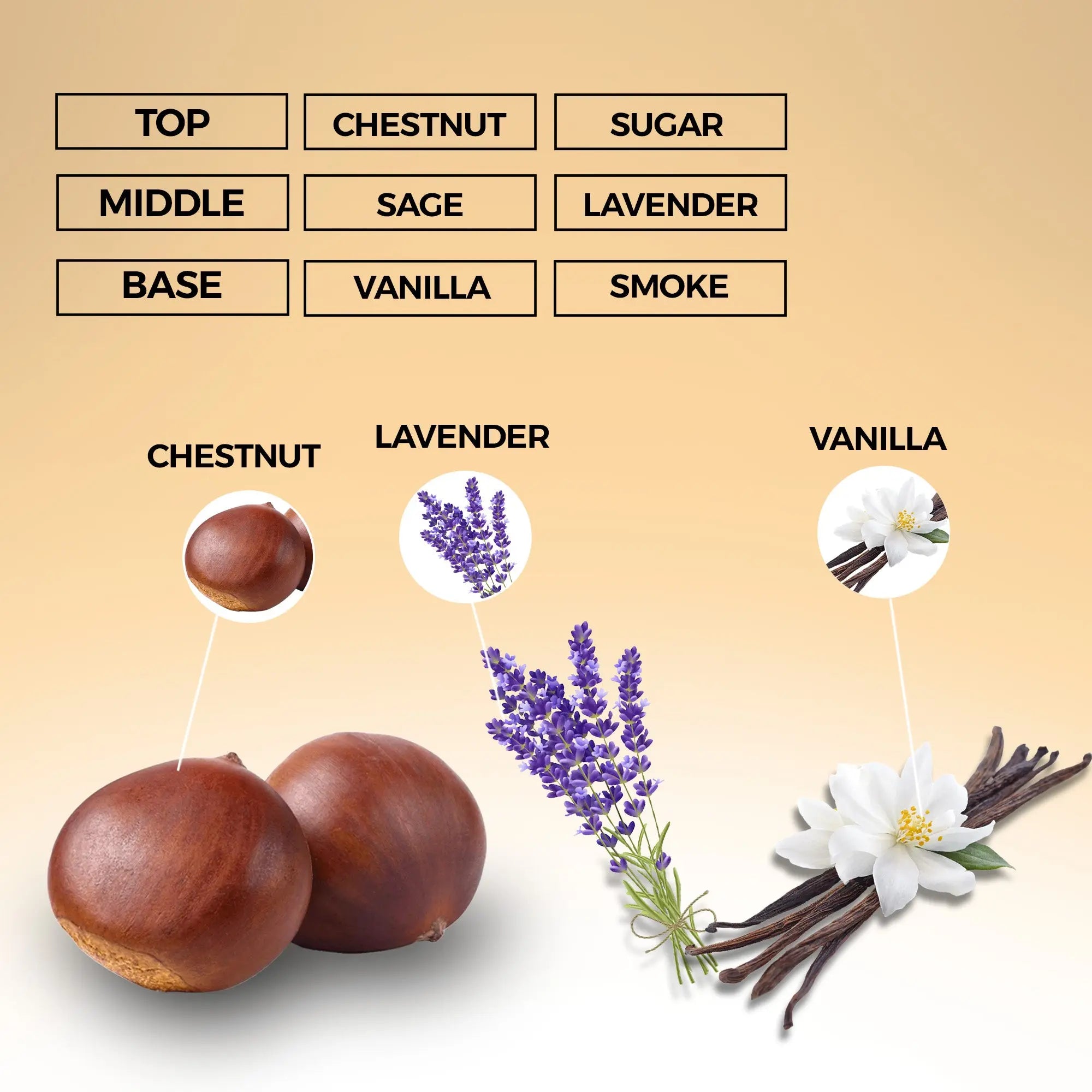 WithYou Eau de Parfum | Inspired By Stronger With You Parfum For Men