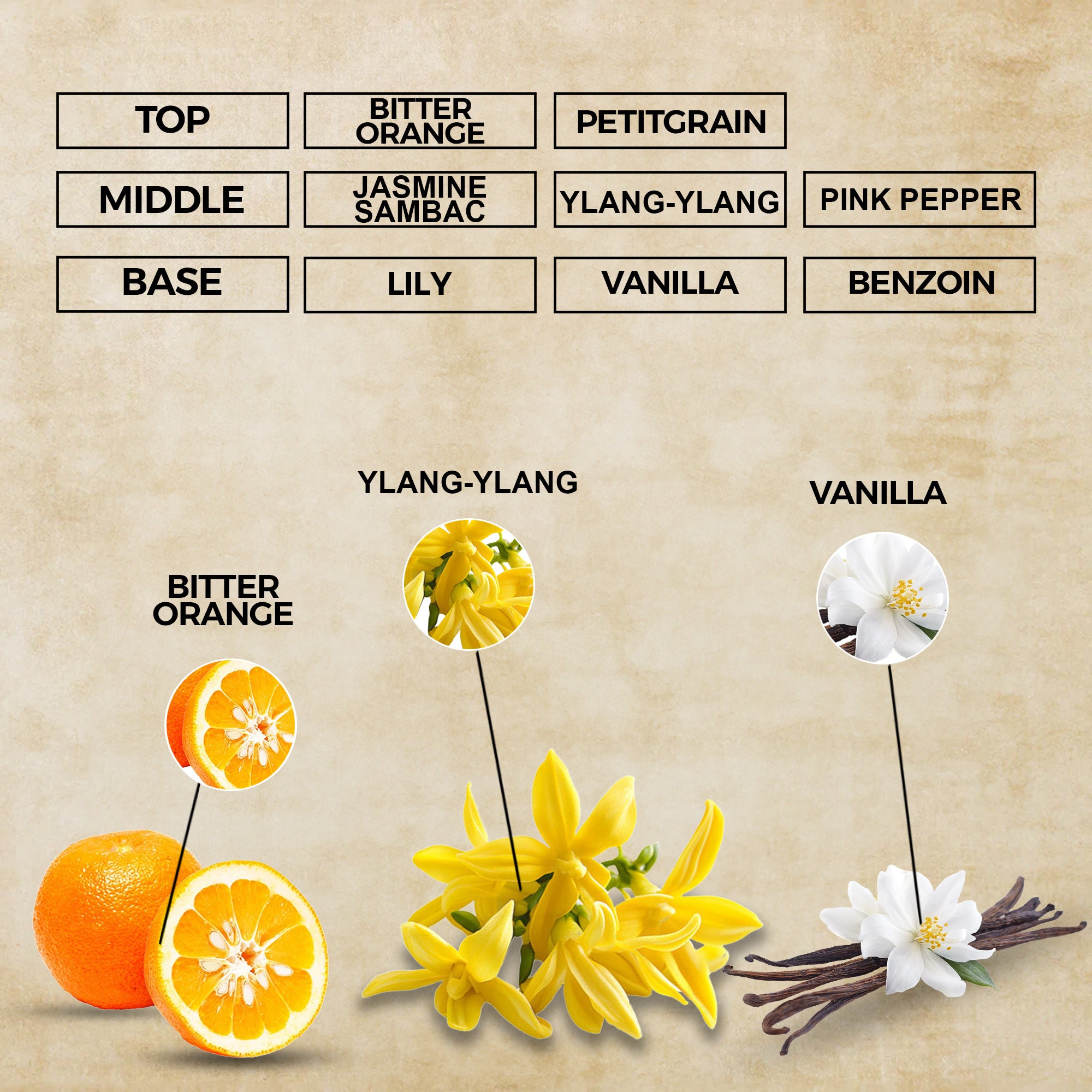 Emerald Stone Eau de Parfum | Inspired By Vert Malachite For Men & Women