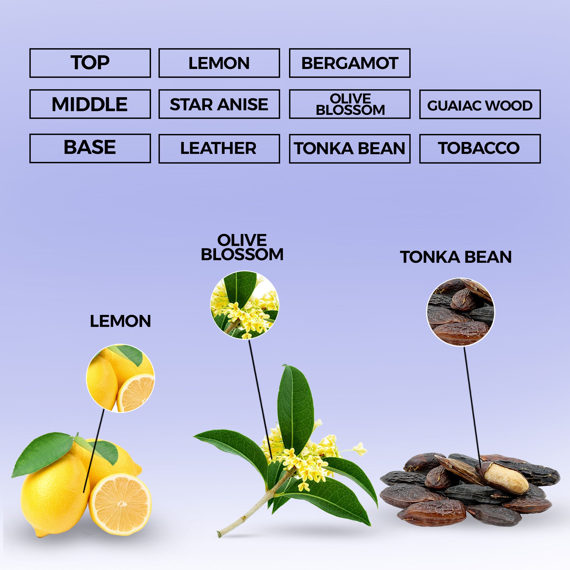 Midnight Cipher Perfume Oil | Inspired By Code For Men