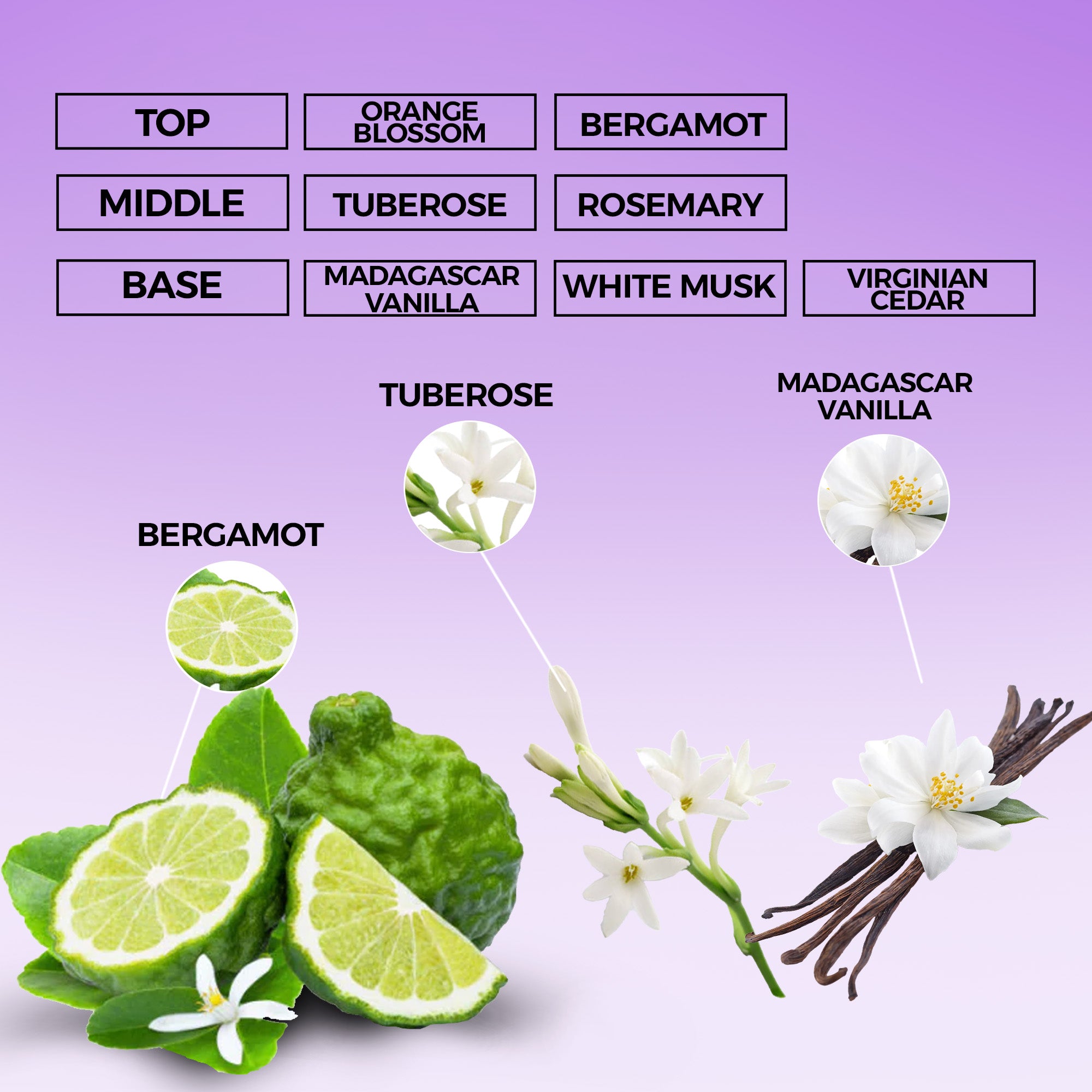 Path Perfume Oil | Inspired By My Way For Women