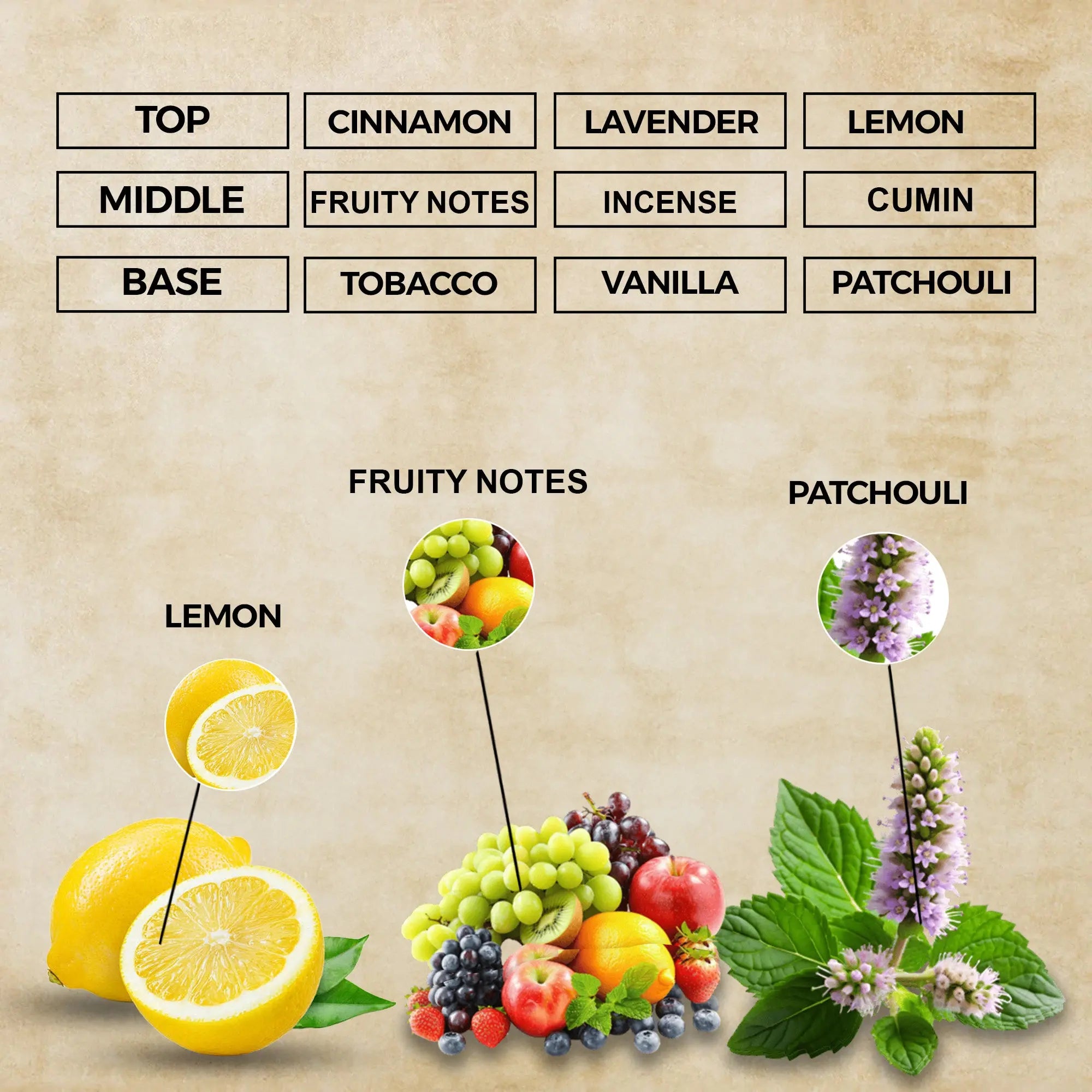 Nocturnal Desire Perfume Oil | Inspired By Wanted By Night For Men