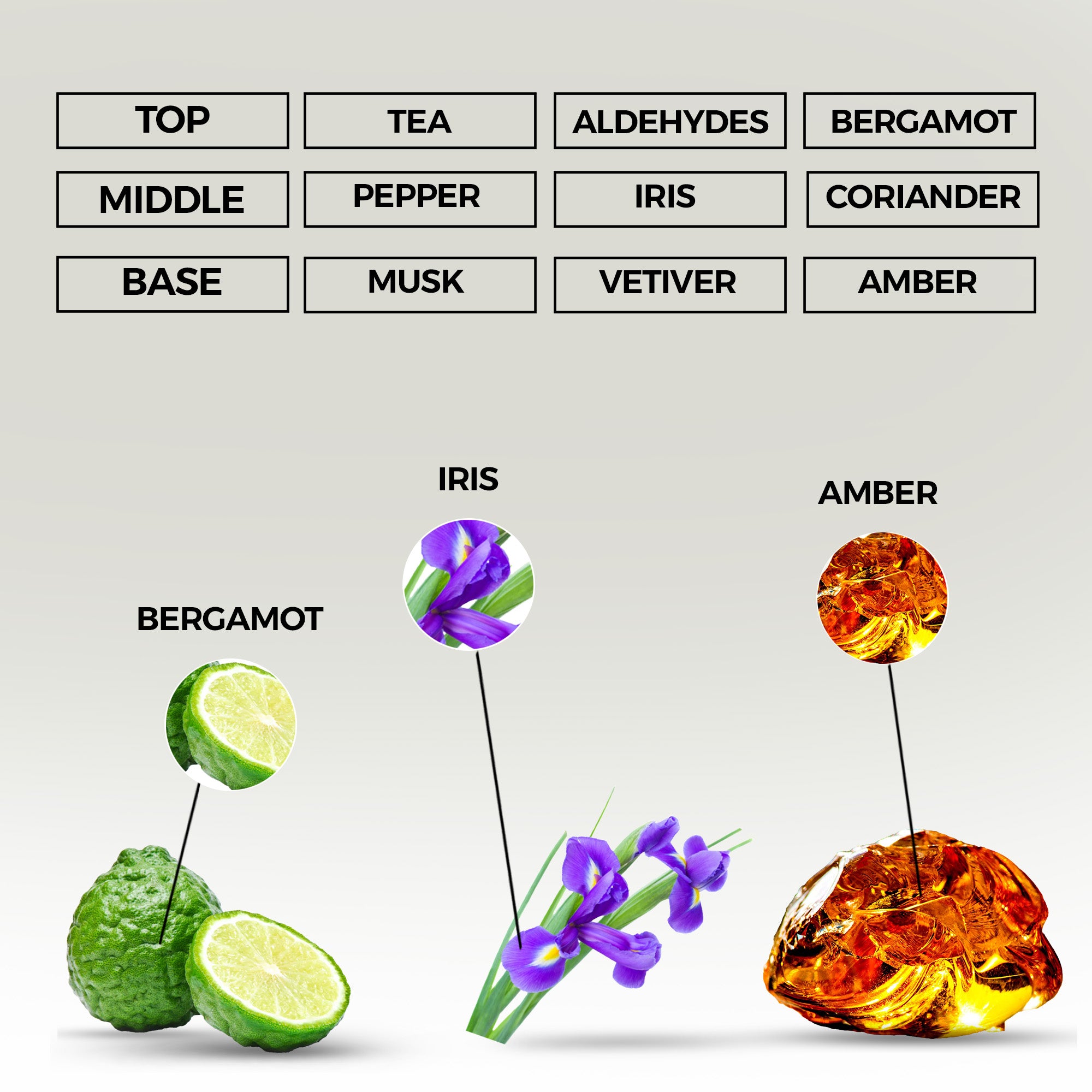 Refined Gentleman Eau de Parfum | Inspired By Blv Pour Homme for Men