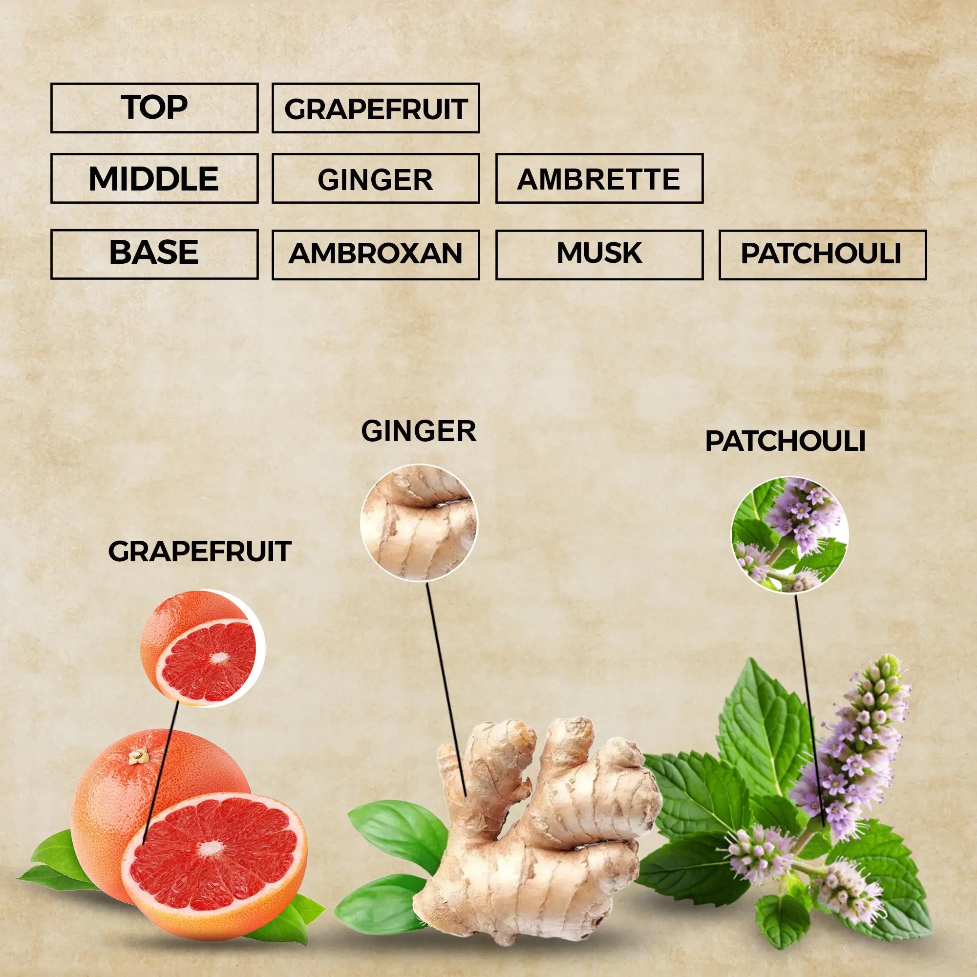 Golden Predator Eau de Parfum | Inspired By Tygar For Men