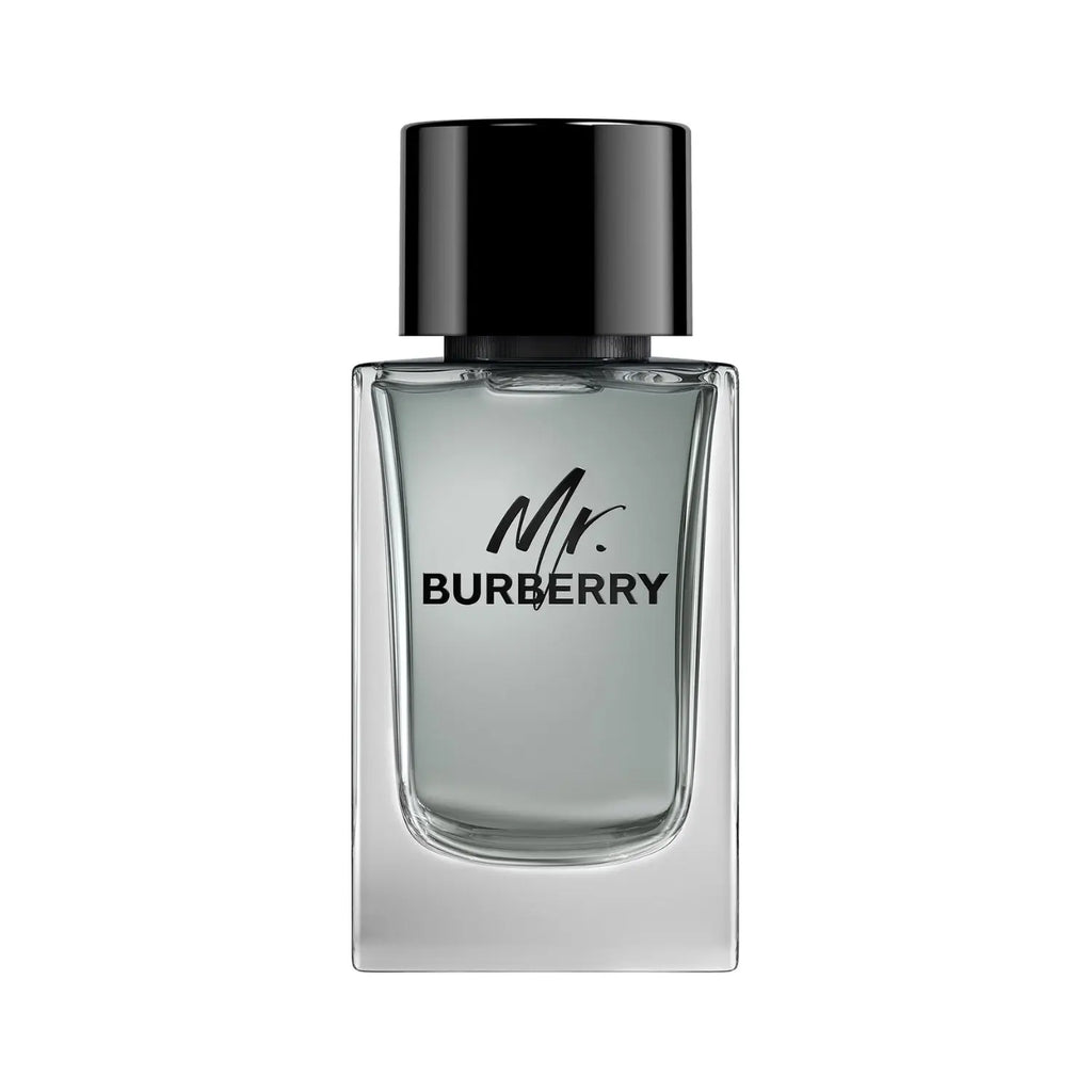 Burberry Mr.Burberry For Men EDT 150ml