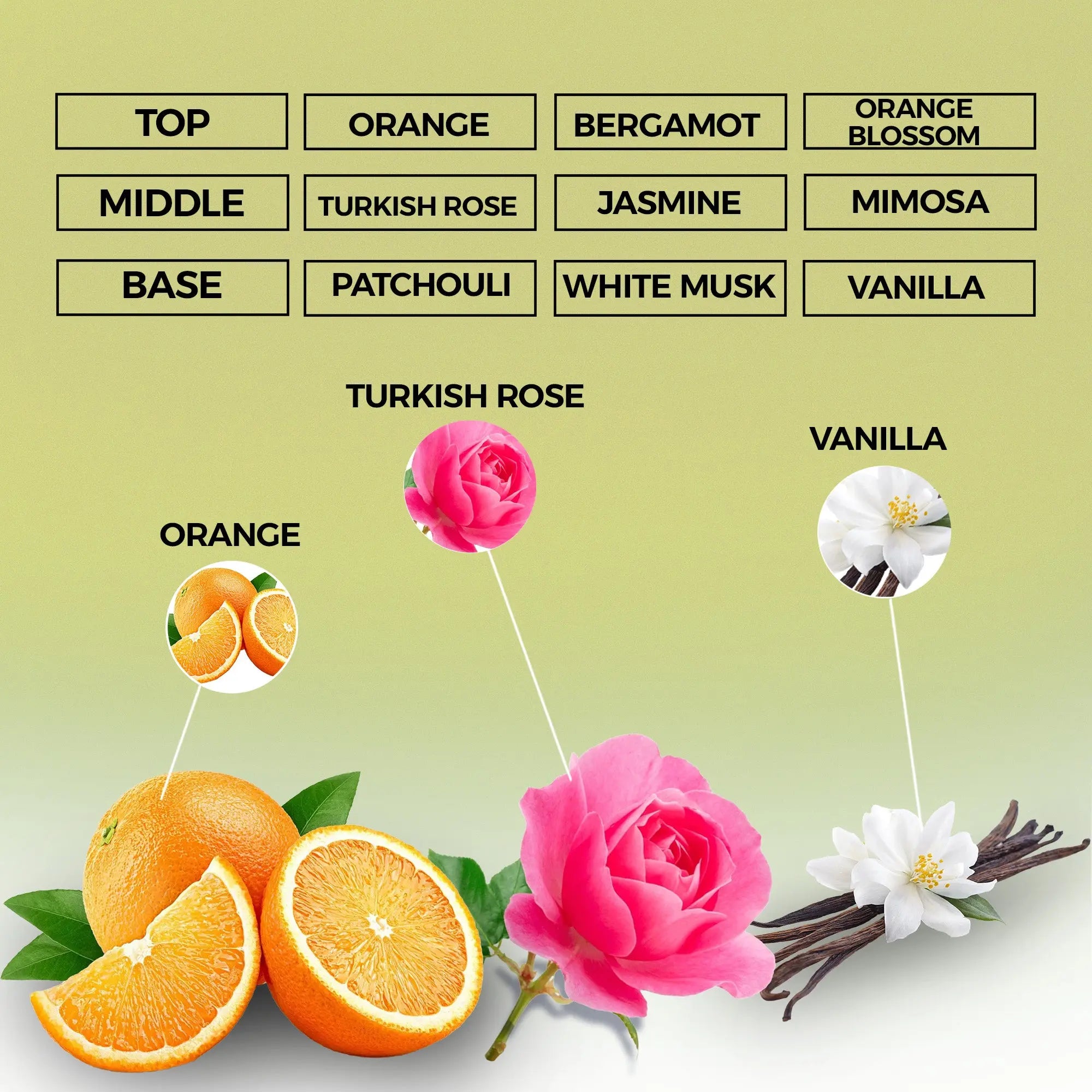 coco belle perfume oil inspired by coco mademoiselle for women