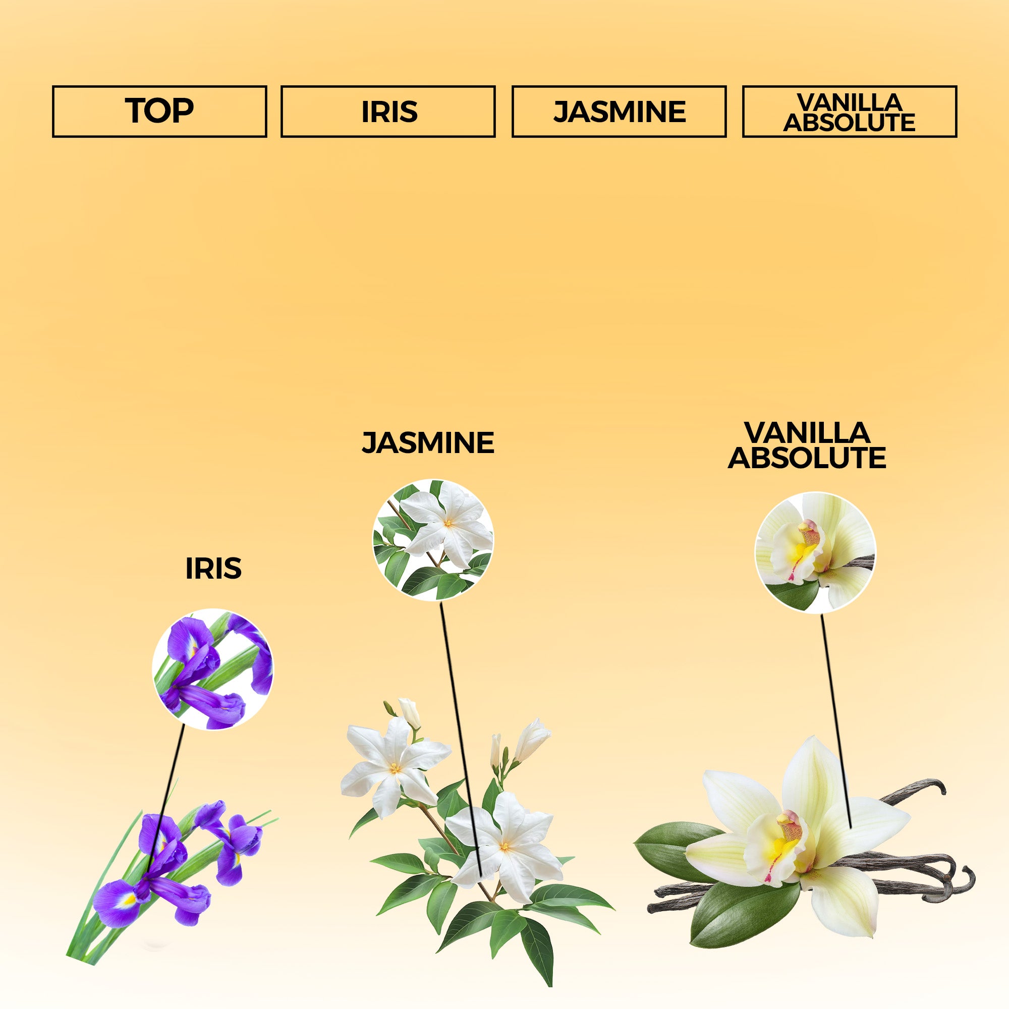 Fortune Bloom Eau de Parfum | Inspired By Chance For Women