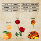 Sunny Aura Perfume Oil | Inspired By Happy For Women