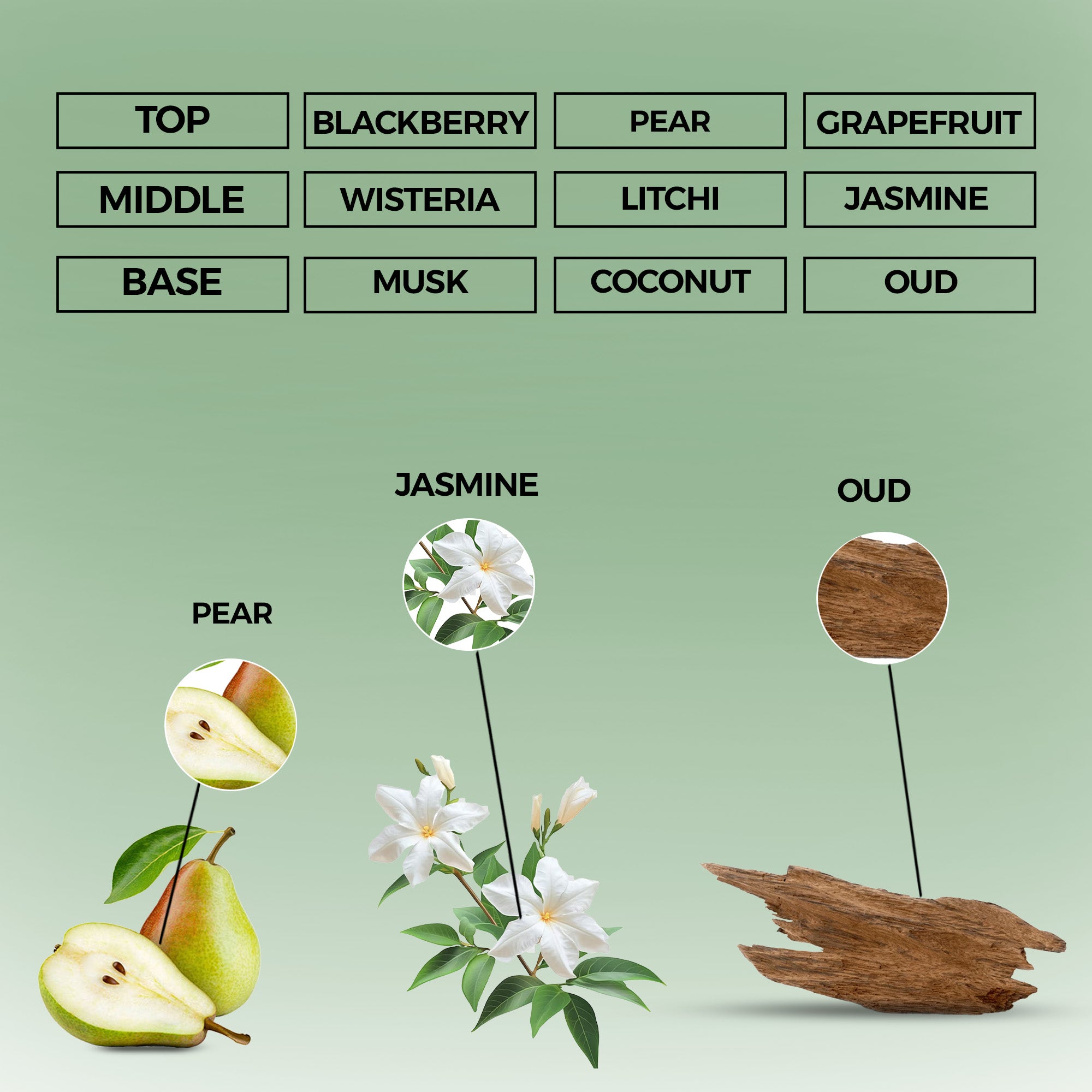 Royal Amber Elixir Eau de Parfum | Inspired By Oud Elixir For Men and Women