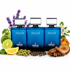 Passion for Men Eau de Parfum 100ml (Pack of 3) | Long Lasting Men's Perfume Gift Set