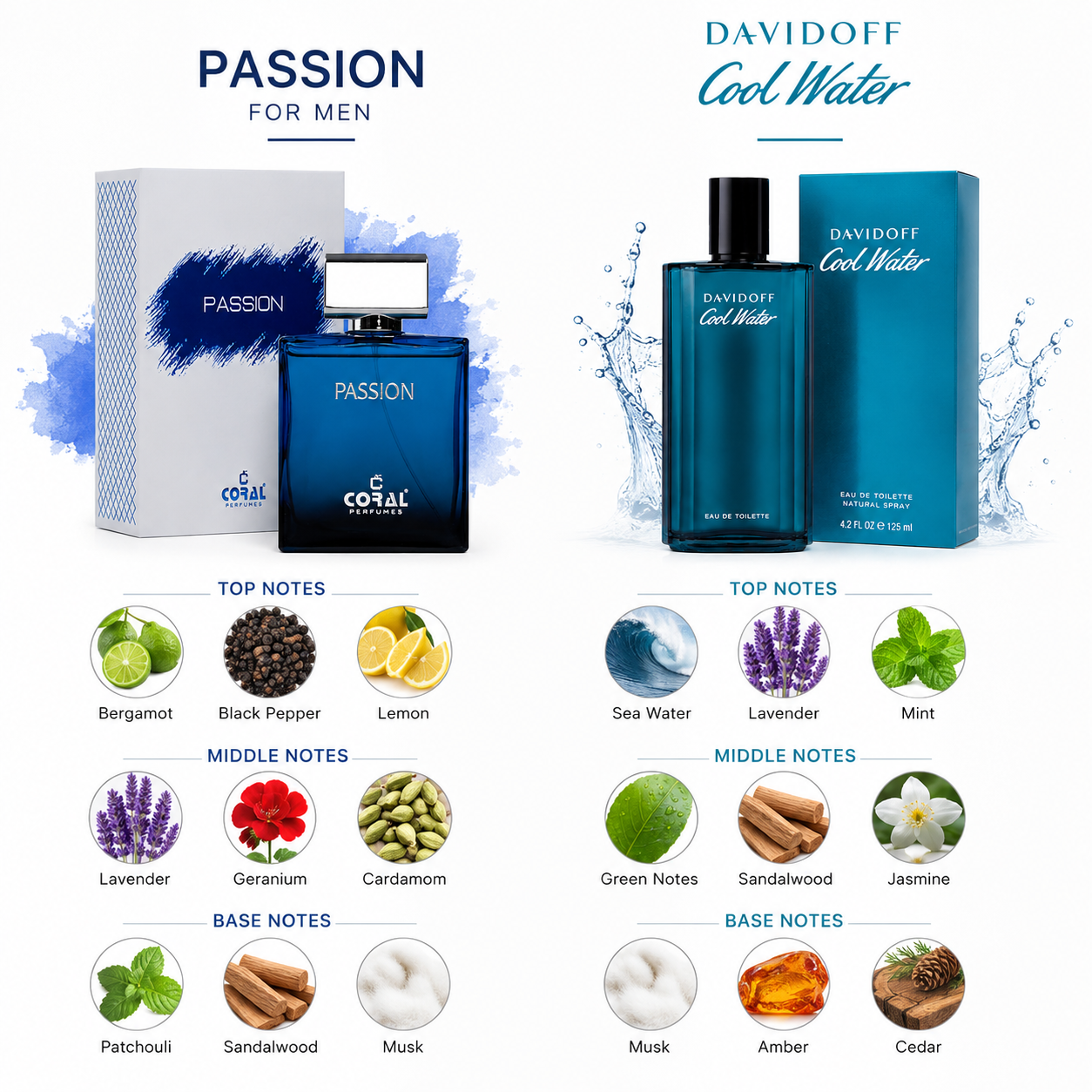 Passion for Men EDP 100ml + Davidoff Cool Water EDT 125ml Combo | Fresh & Woody Men's Perfume Gift Set