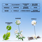 Obsession Noir Eau de Parfum | Inspired By Addict For Women