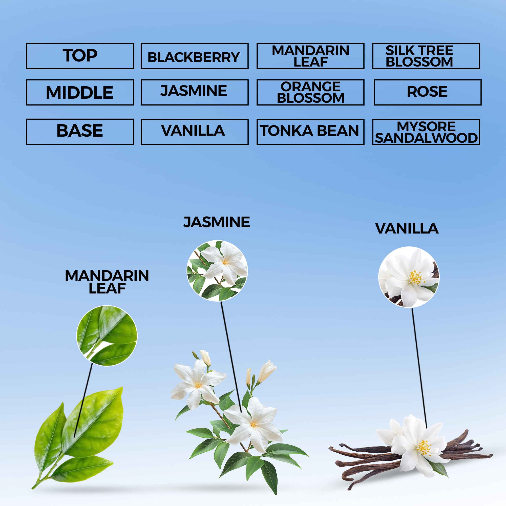 Obsession Noir Eau de Parfum | Inspired By Addict For Women