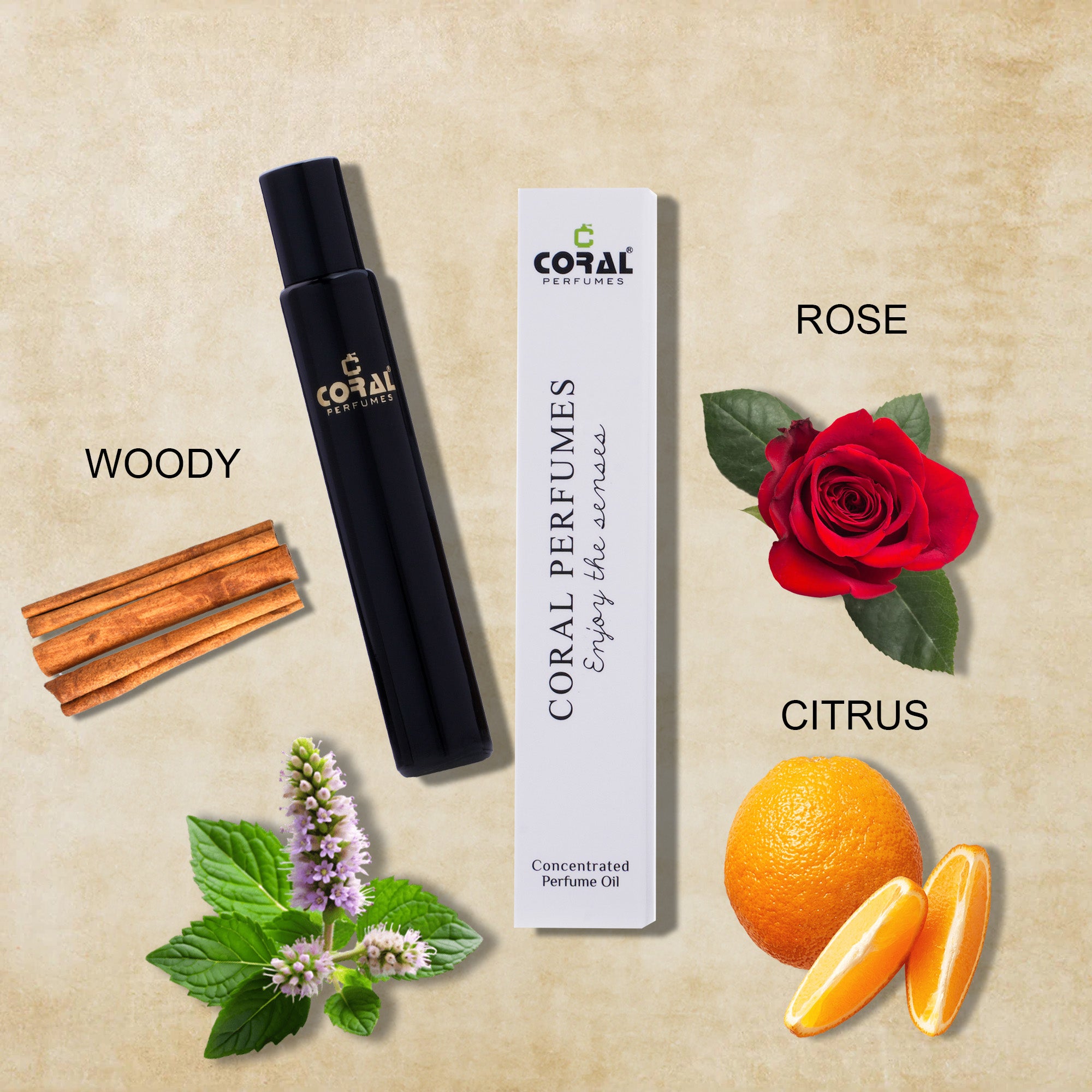 Golden Midnight Perfume Oil | Inspired By Ambre Nuit