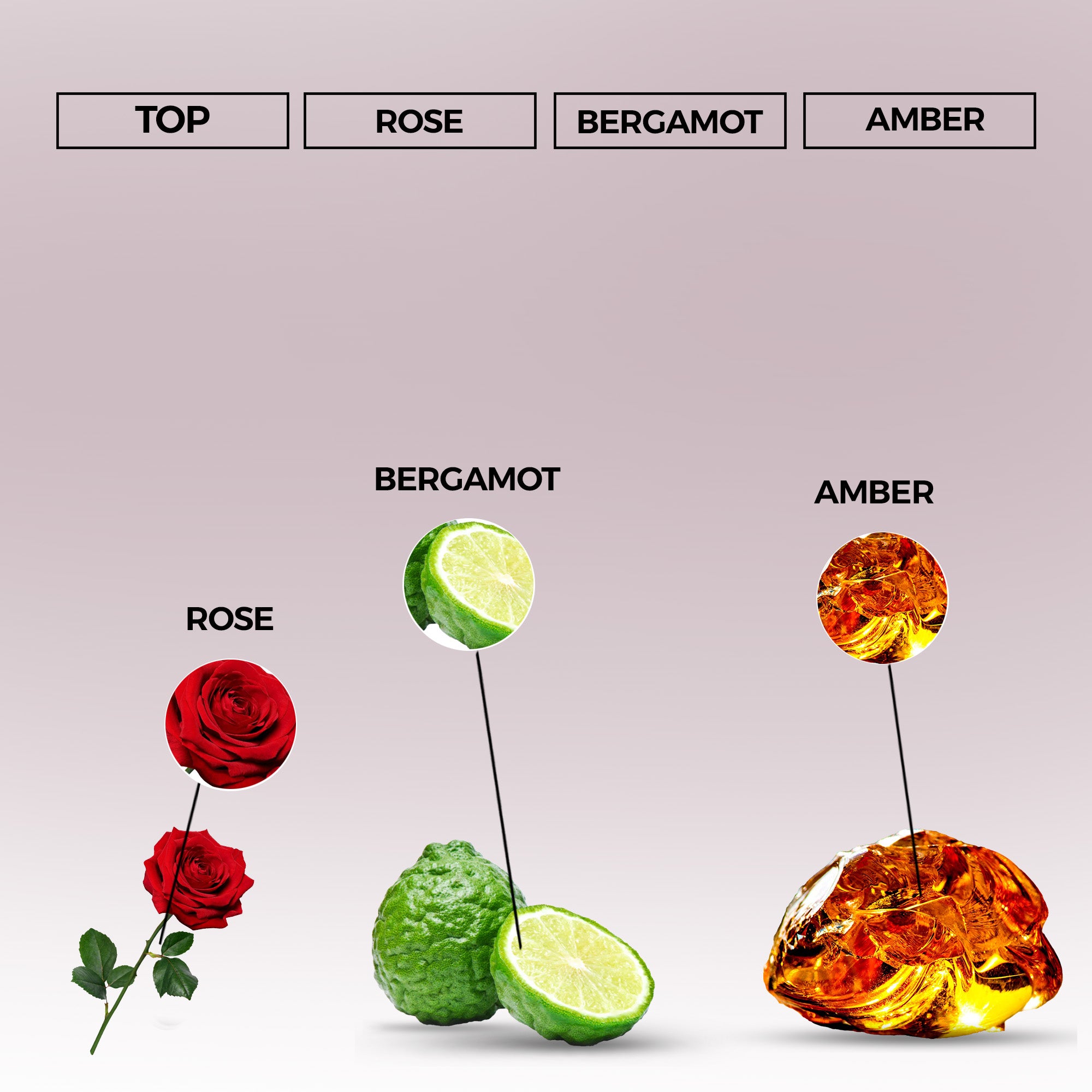 Silver Mist Eau de Parfum | Inspired By GRIS for Men and Women