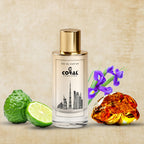 Elite Man Eau de Parfum | Inspired By Dior Homme For Men