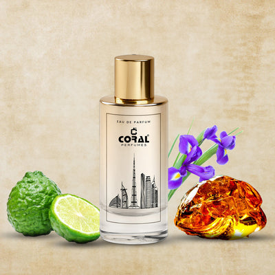 Elite Man Eau de Parfum | Inspired By Dior Homme For Men