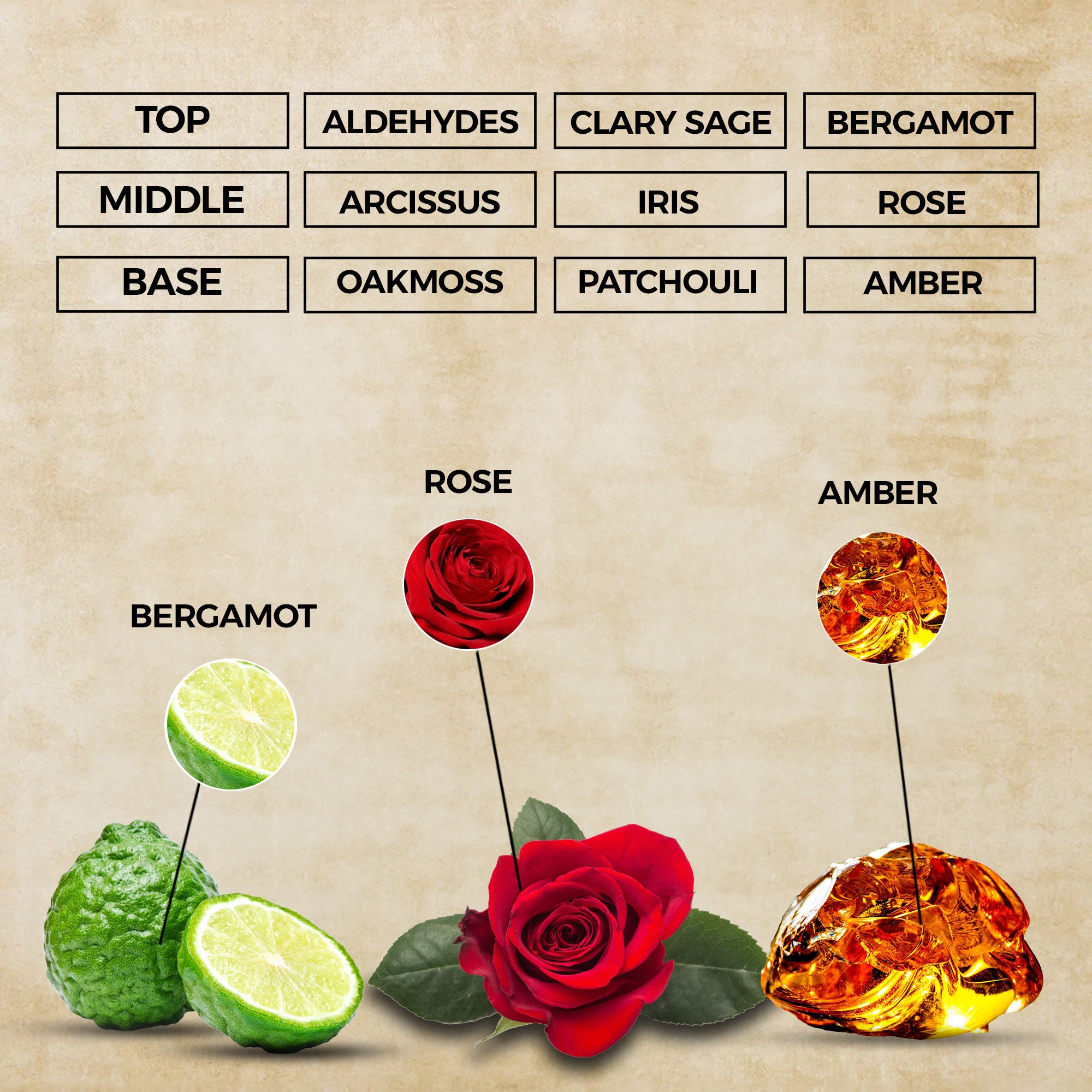 Lady Elegance Perfume Oil | Inspired By Miss Dior For Women