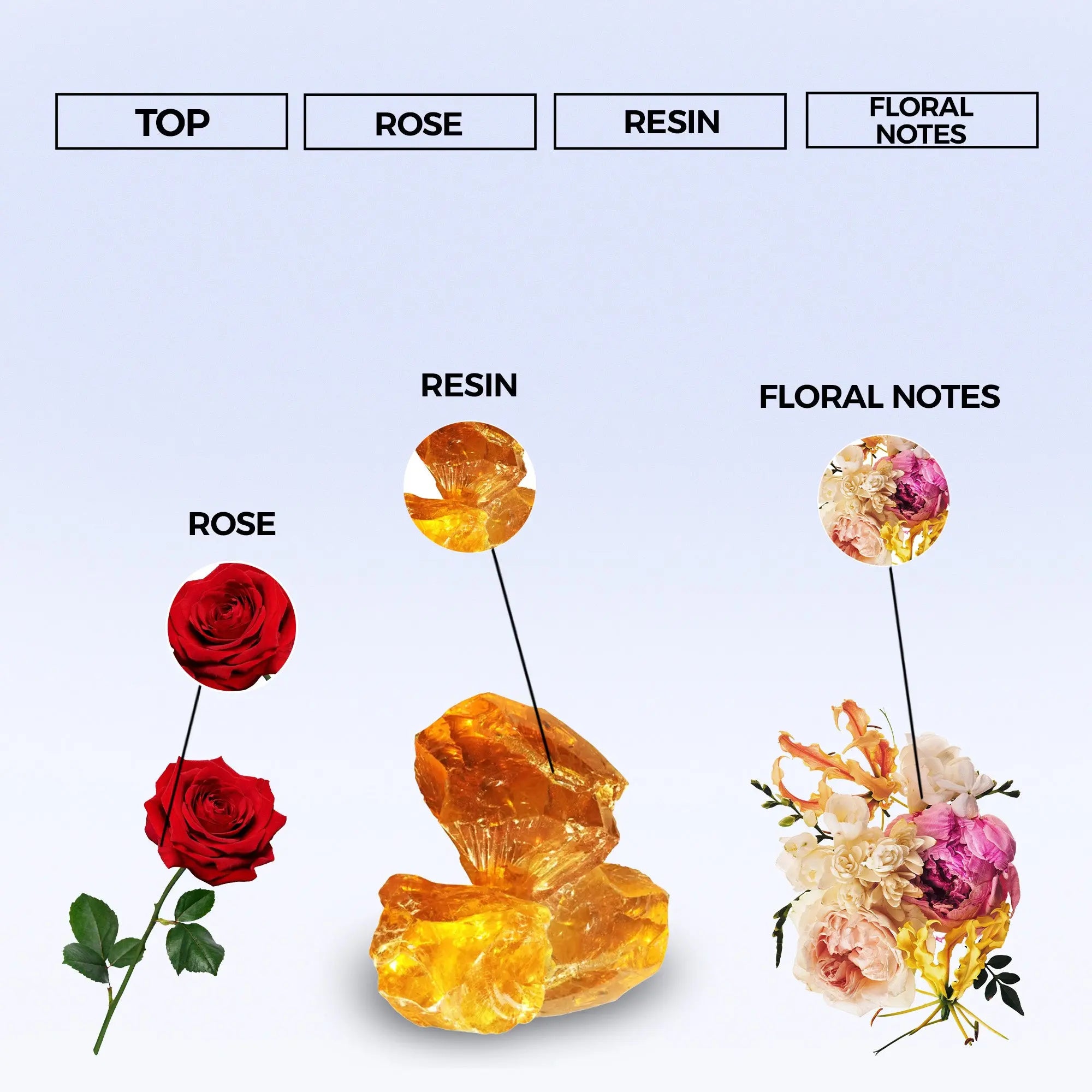 royal oud eau de parfum inspired by oud ispahan for men women