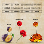 Dark Elixir Perfume Oil | Inspired By D Poison For Women