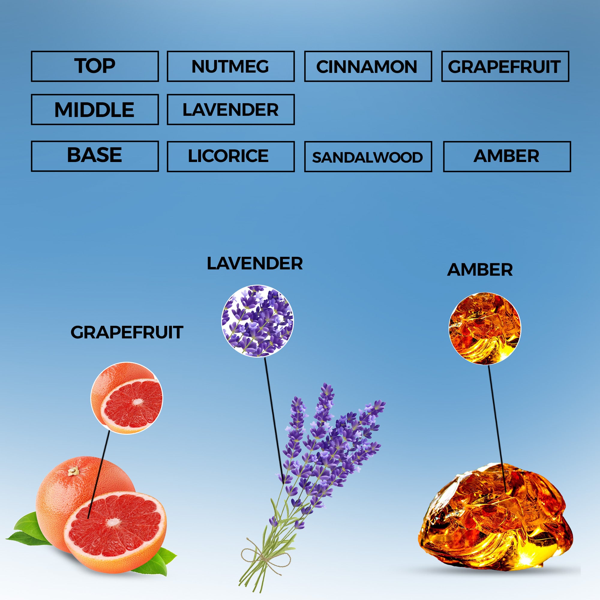 Wild Elixir Eau de Parfum | Inspired By Sauvage Elixir For Men