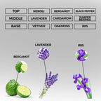 Signature Legend Eau de Parfum | Inspired By Icon For Men