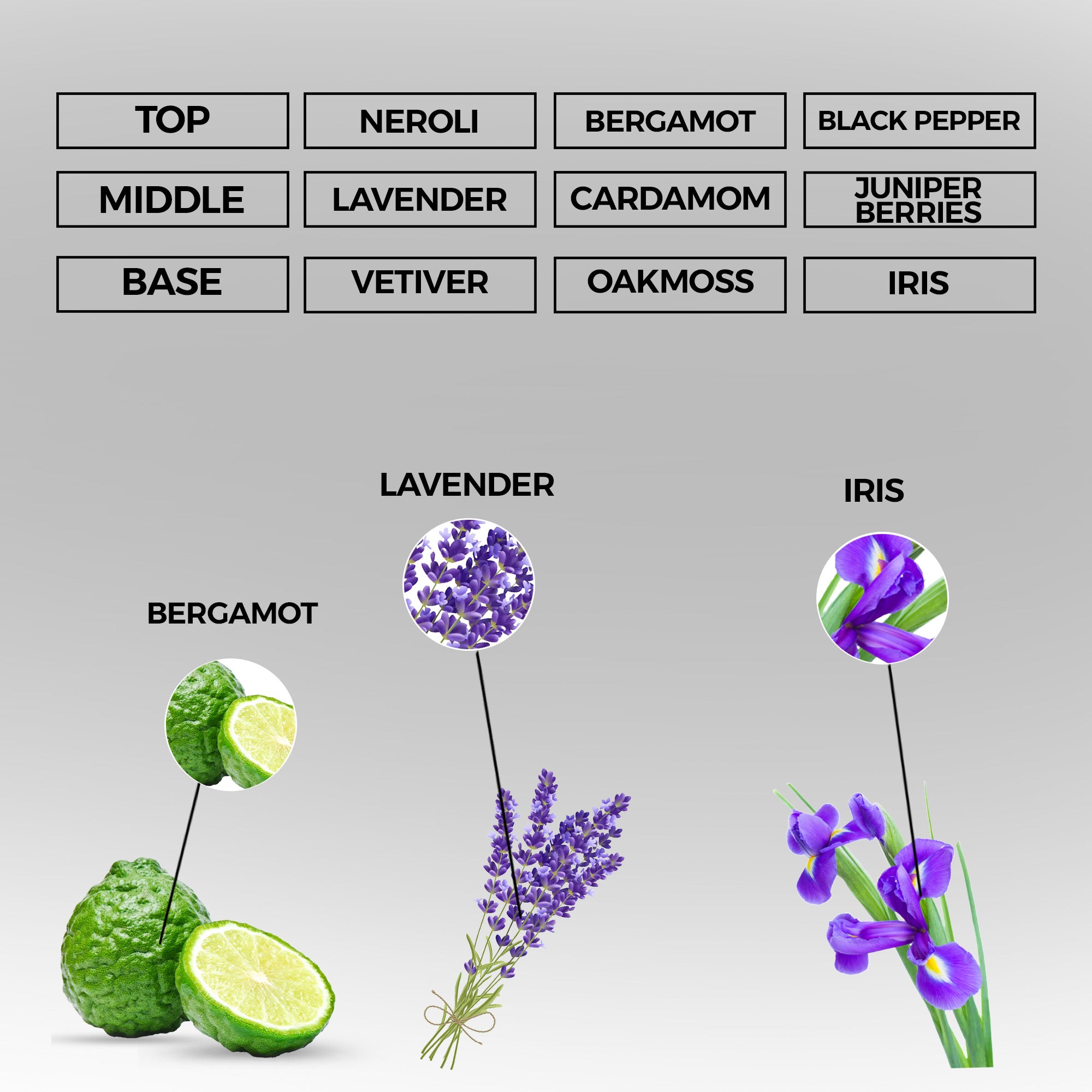 Signature Legend Eau de Parfum | Inspired By Icon For Men