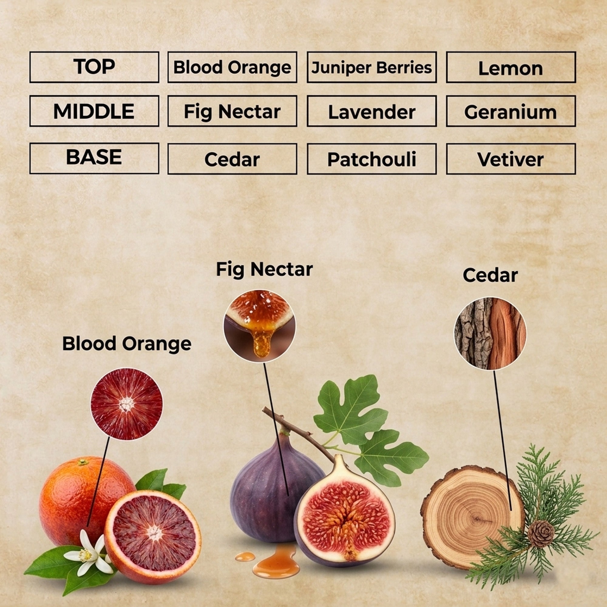 Crown Monarch Perfume Oil | Inspired By K For Men