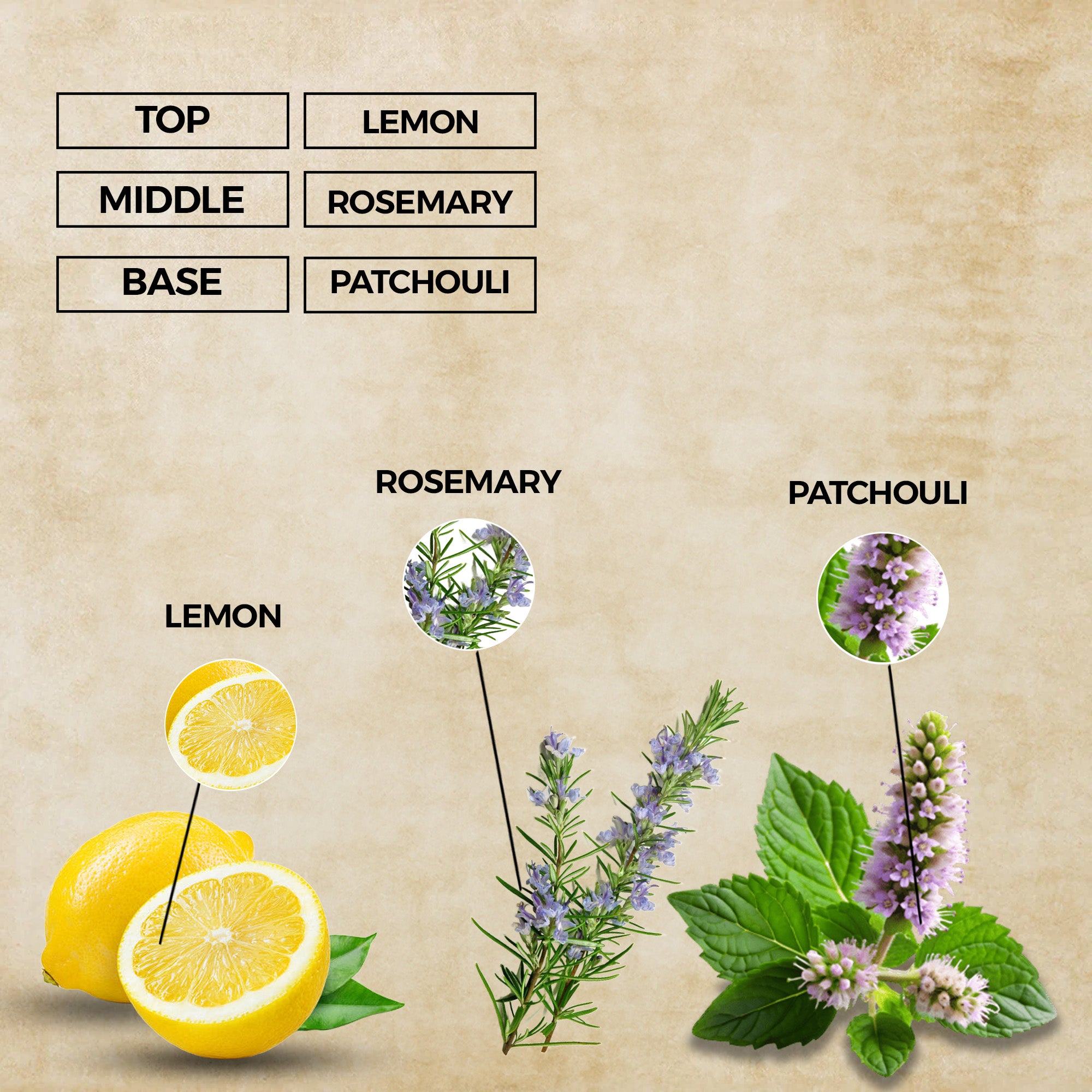 Ocean Whisper Perfume Oil | Inspired By Light Blue For Men