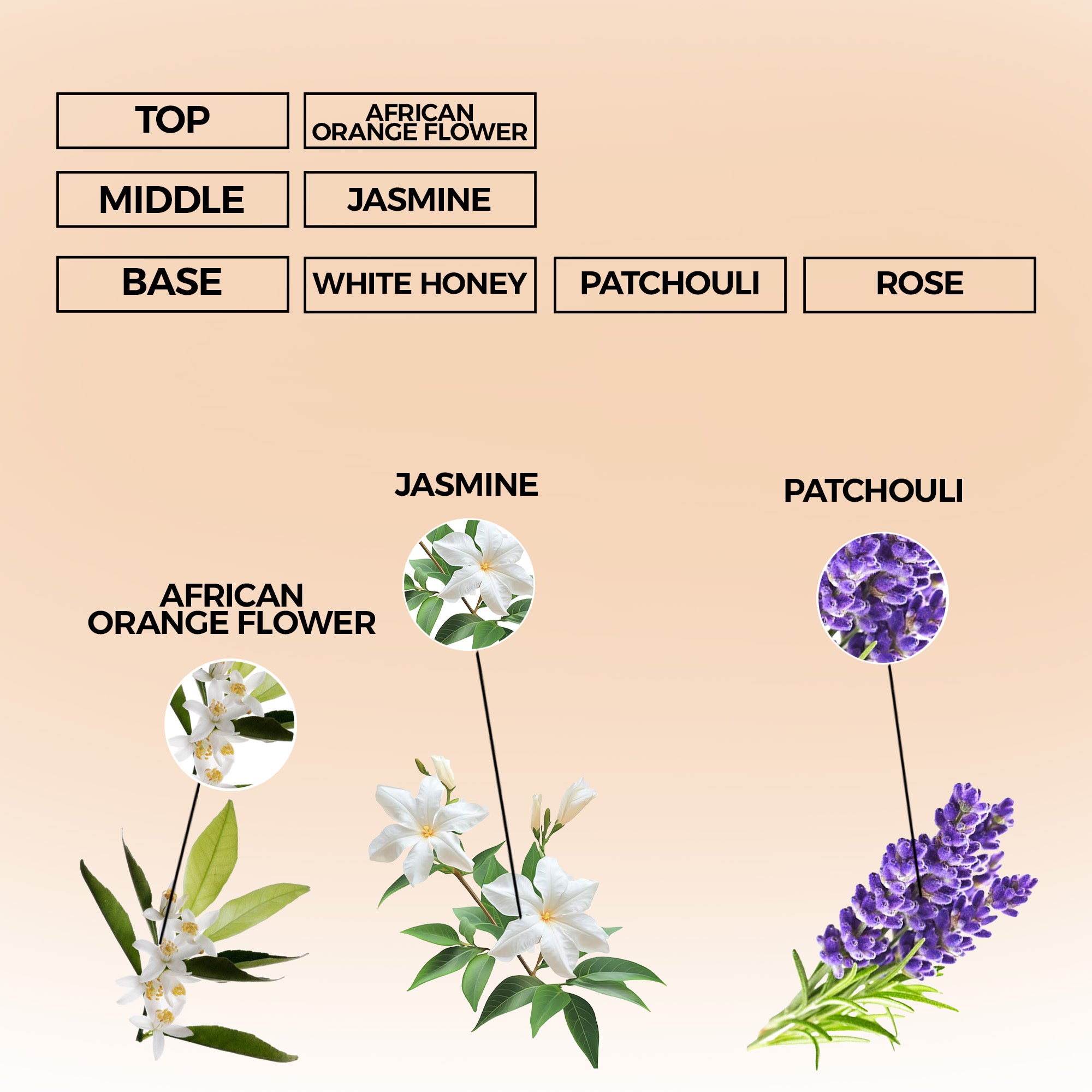 Golden Couture Perfume Oil | Inspired By ES Le Parfum Women