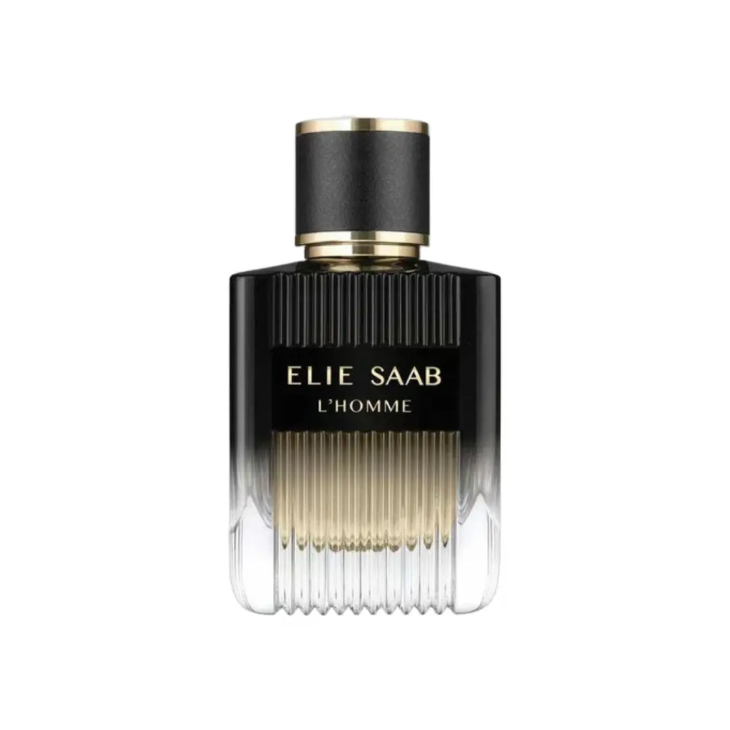 elie saab lhomme edp 100 ml