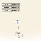 Pure Molecule Eau de Parfum | Inspired By Escentric 02 For Men And Women