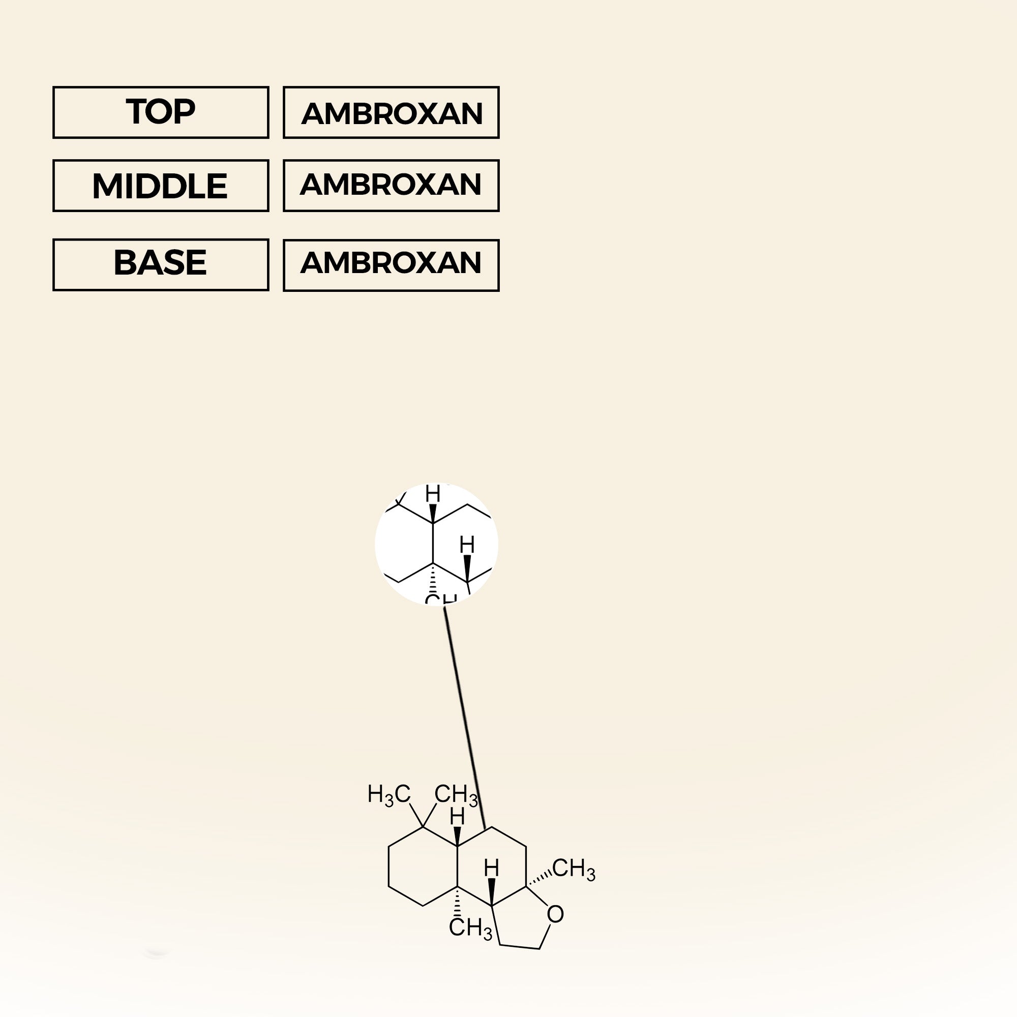 Pure Molecule Eau de Parfum | Inspired By Escentric 02 For Men And Women