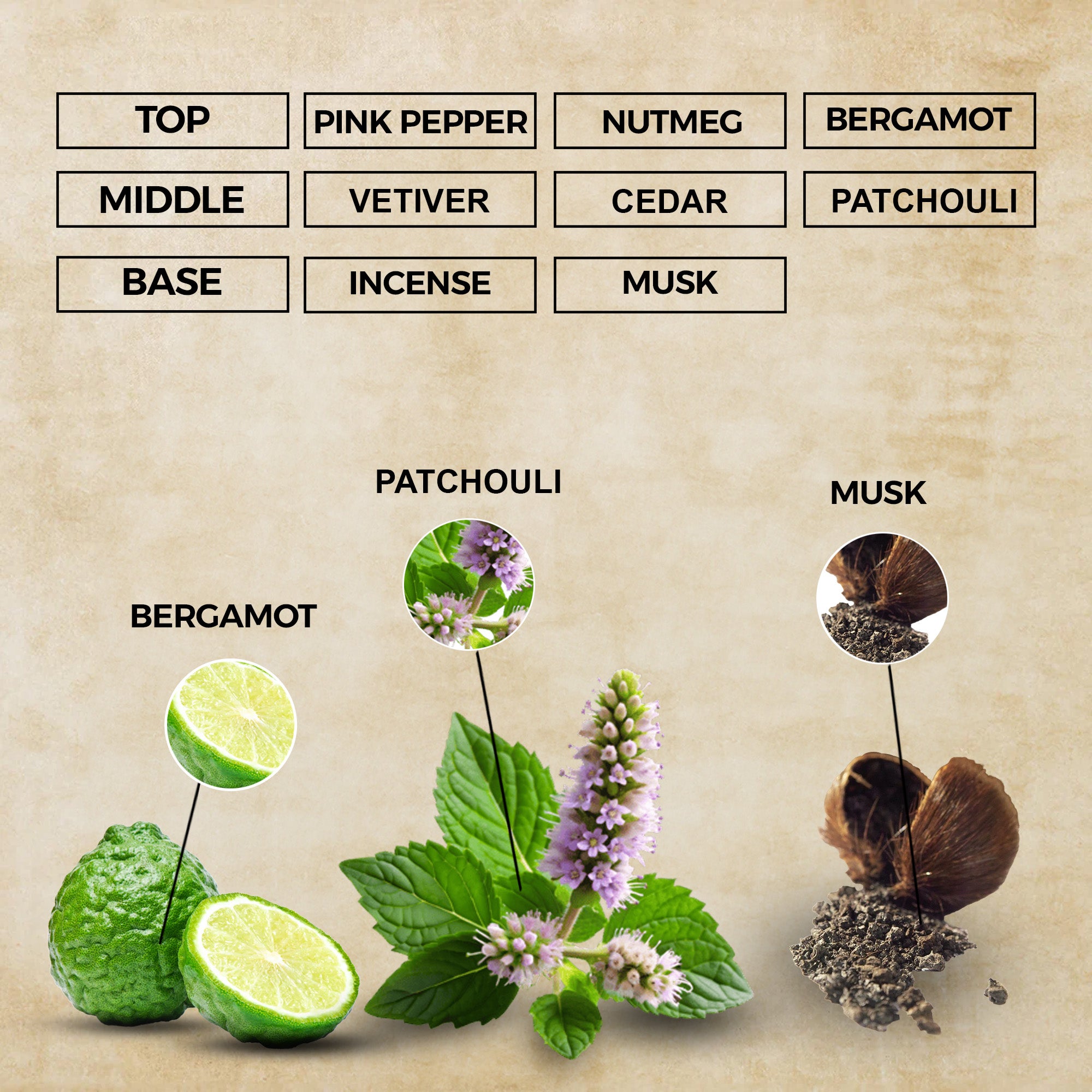 Noble Society Eau de Parfum | Inspired By Gentlemen Only For Men