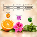 earth sign perfume inspired by terre d hermes
