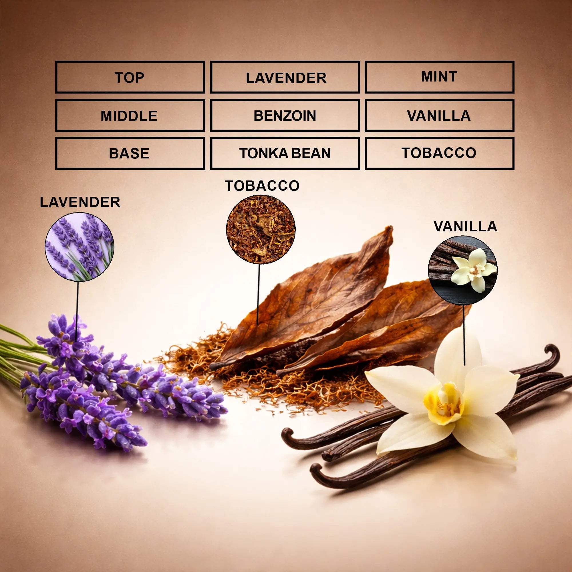 Amber Mariner Perfume Oil | Inspired By Le Male Elixir For Men