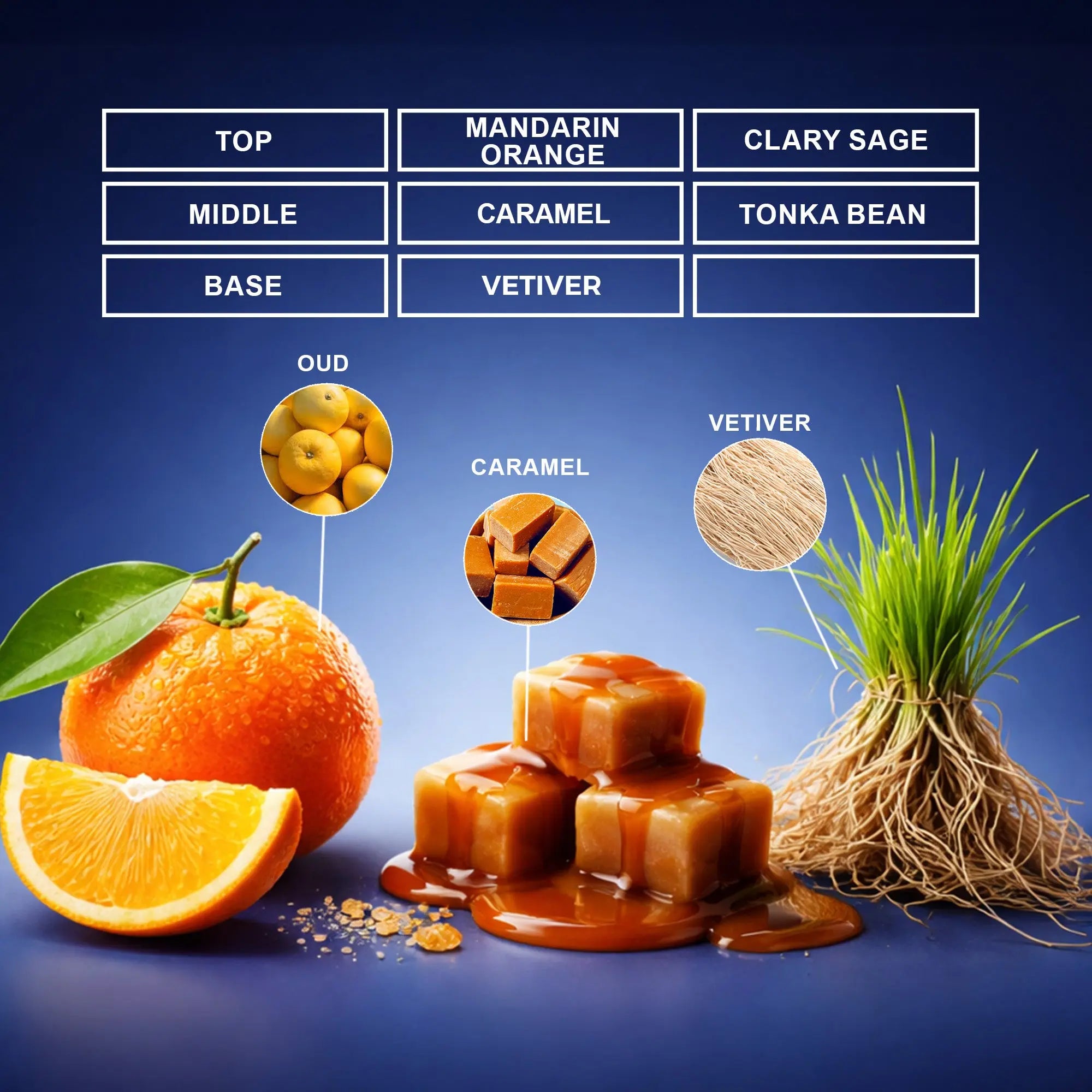 Rebel Homme Perfume Oil | Inspired By Scandal Pour Homme For Men