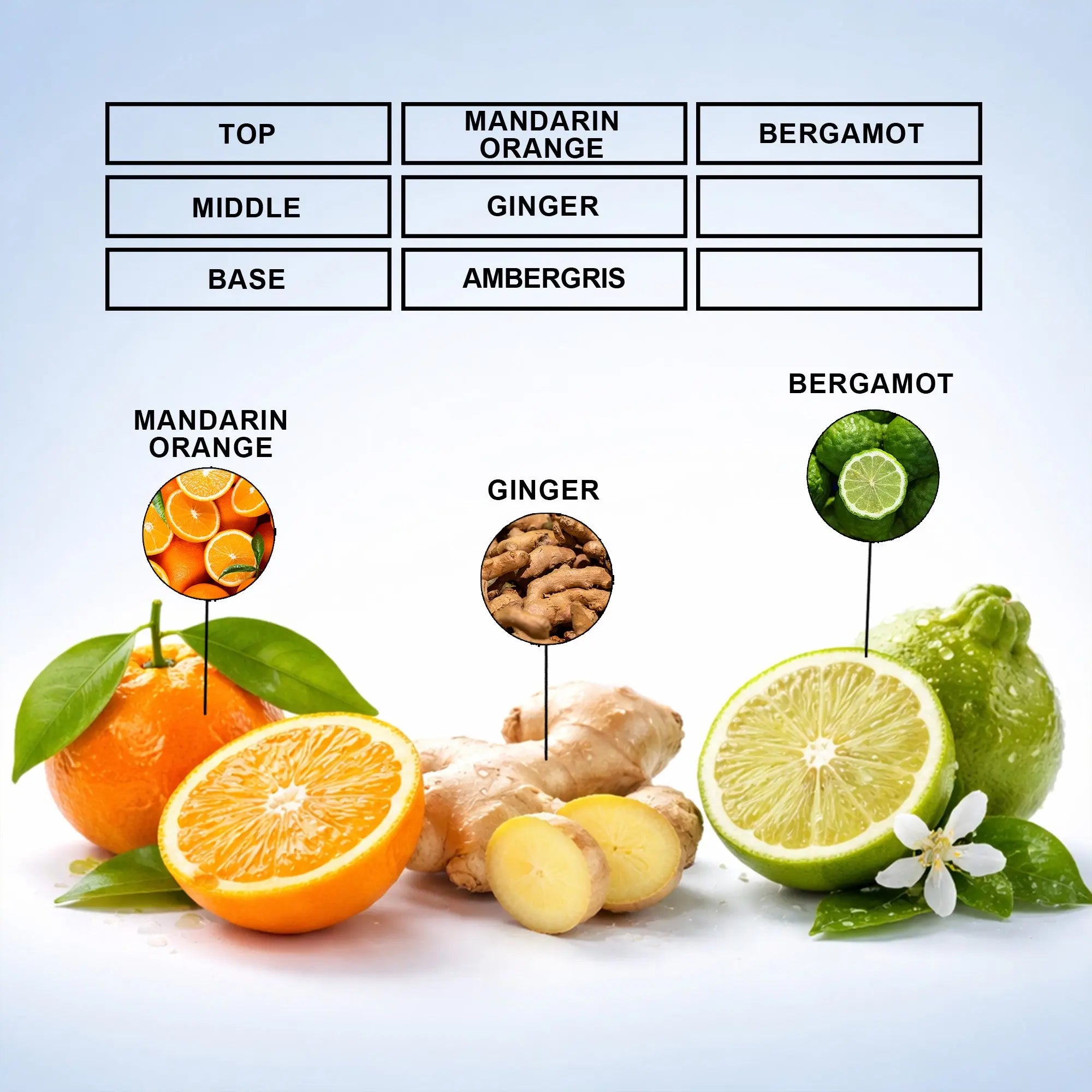 Ocean Splash Perfume Oil | Inspired By Afternoon Swim