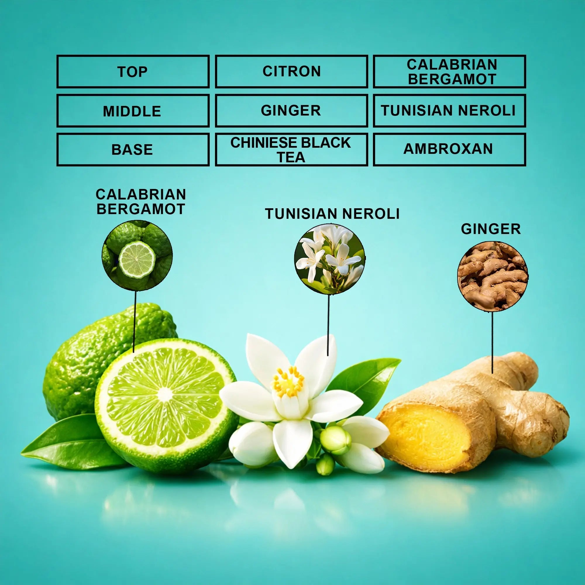 Visionaire Perfume Oil | Inspired By Imagination For Men