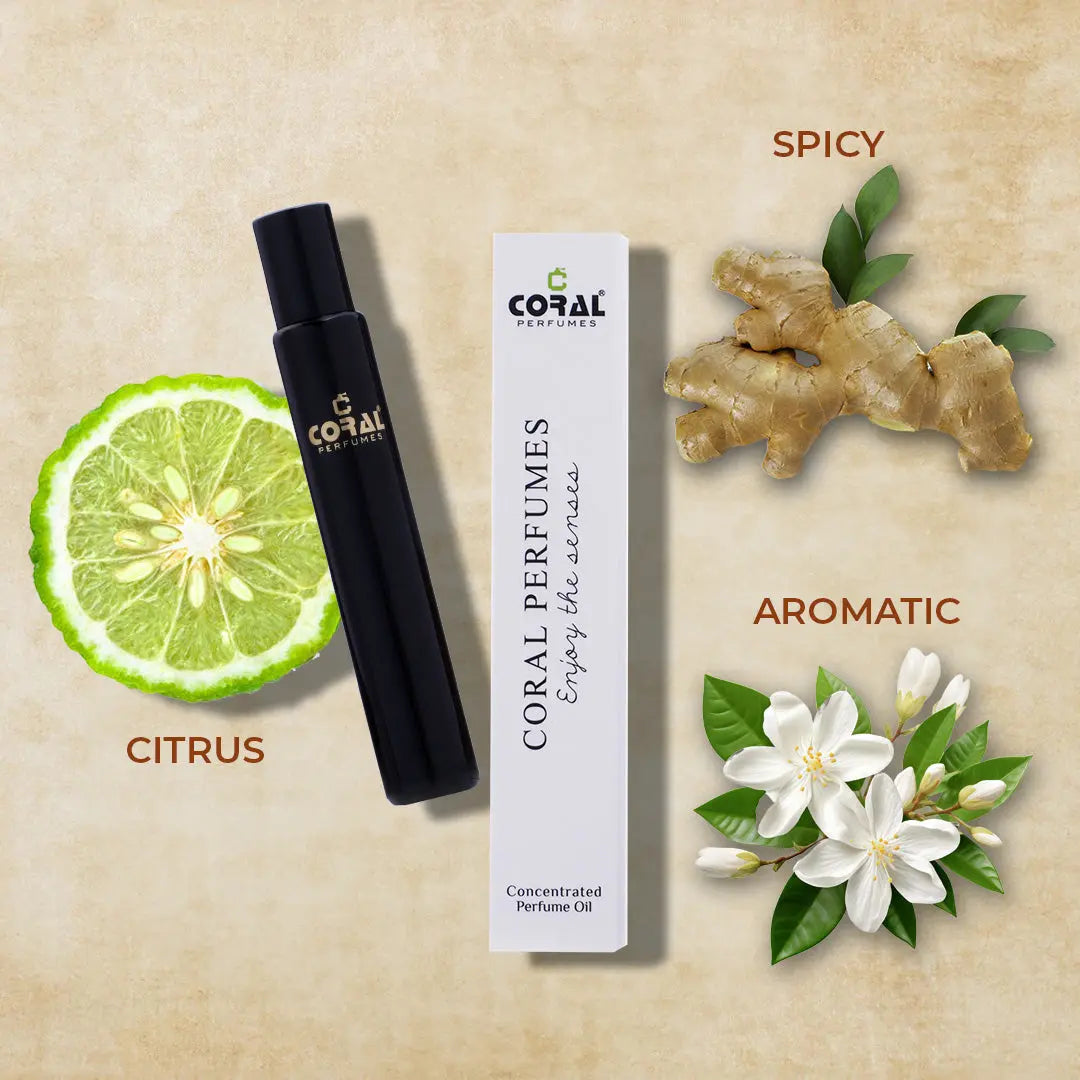 Visionaire Perfume Oil | Inspired By Imagination For Men