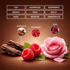 desert shadow perfume oil inspired by ombre nomade