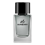 Mr Burberry For Men EDT 100ml